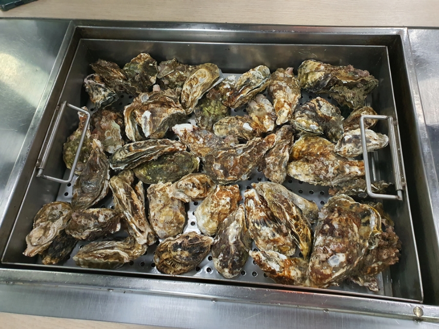 굴사냥 광산사거리점 사진 2