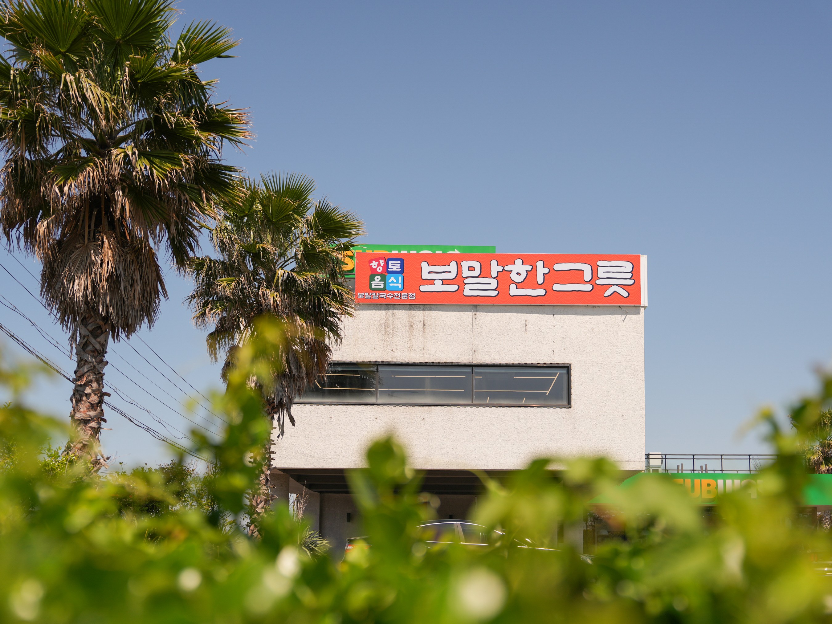 보말한그릇 제주공항본점 보말칼국수 사진 5