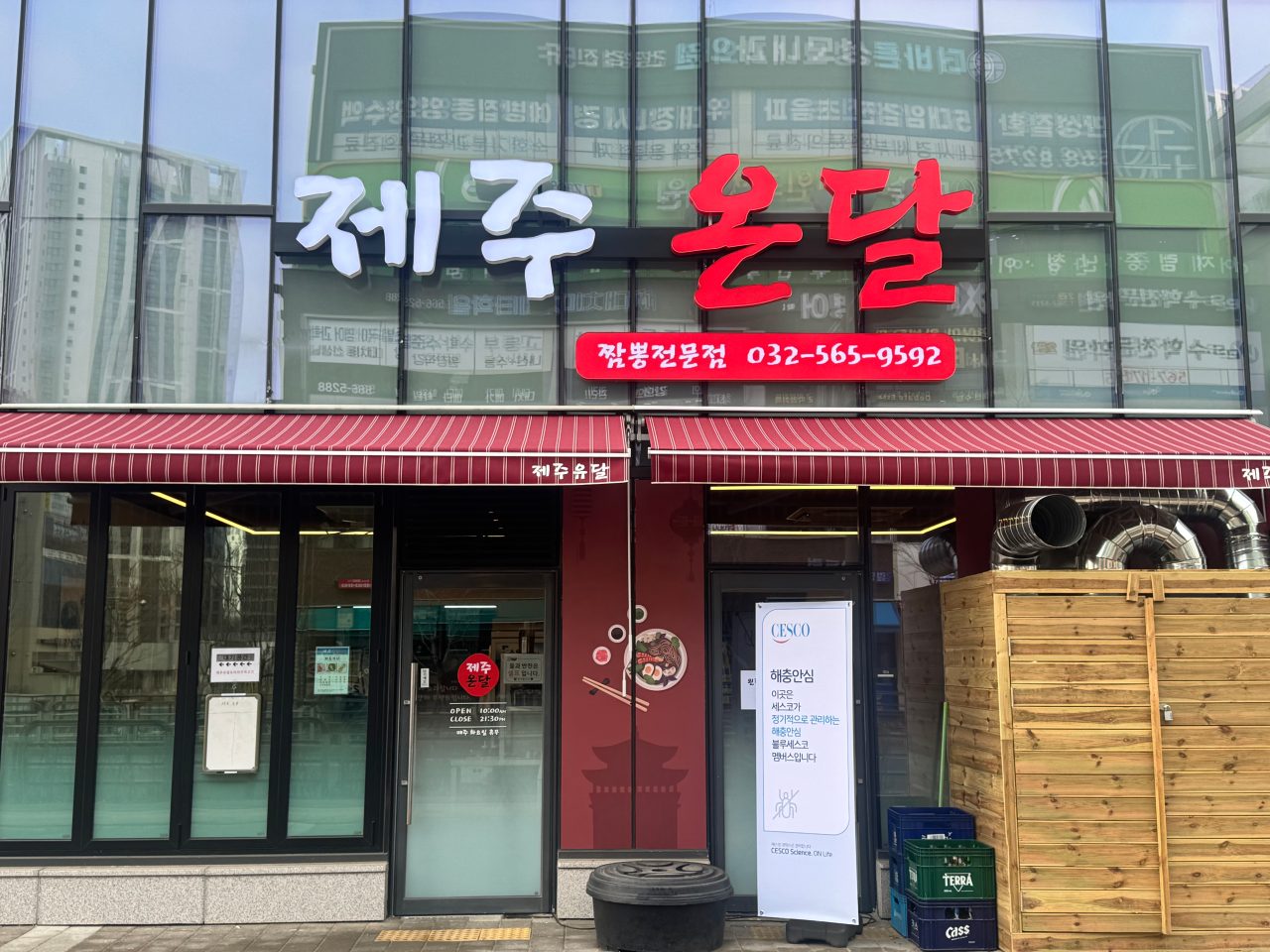 제주온달 사진