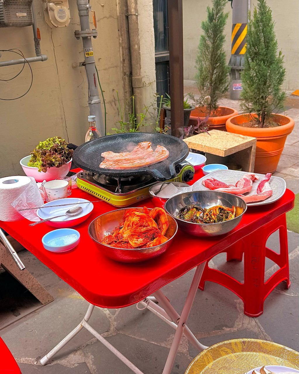 수련집 사진