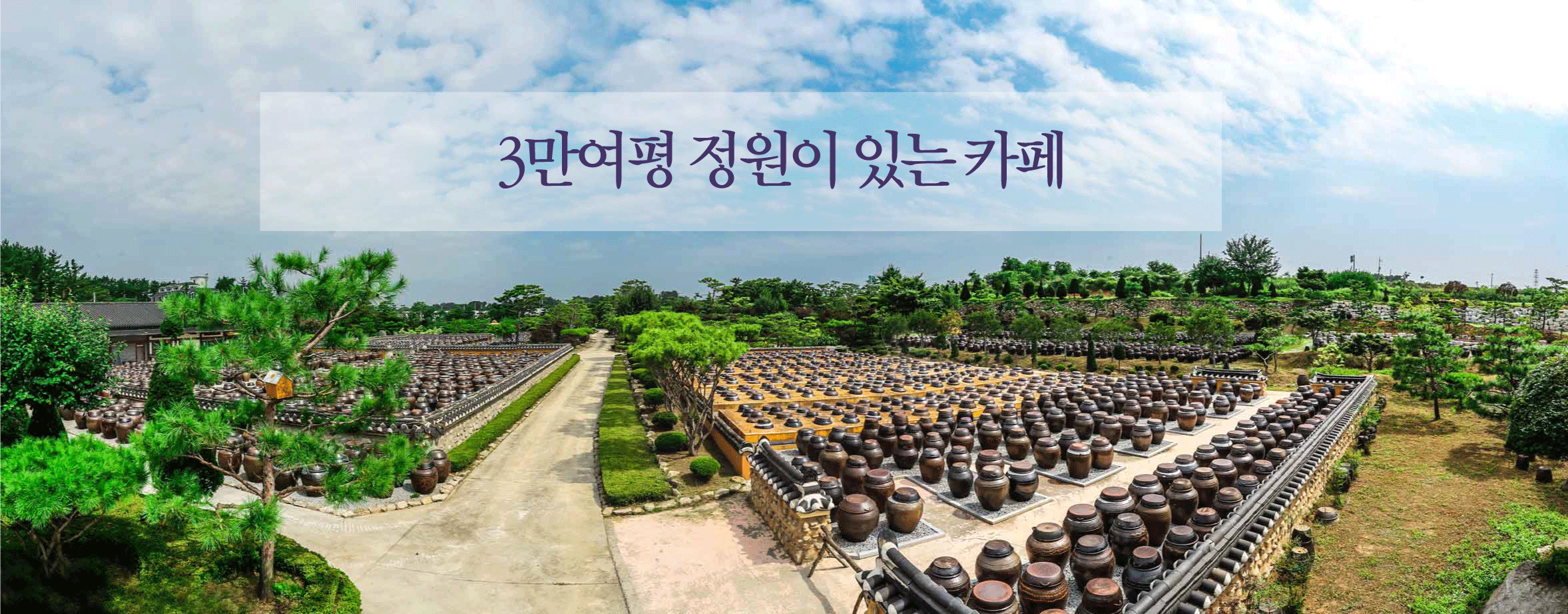 고스락 사진 1