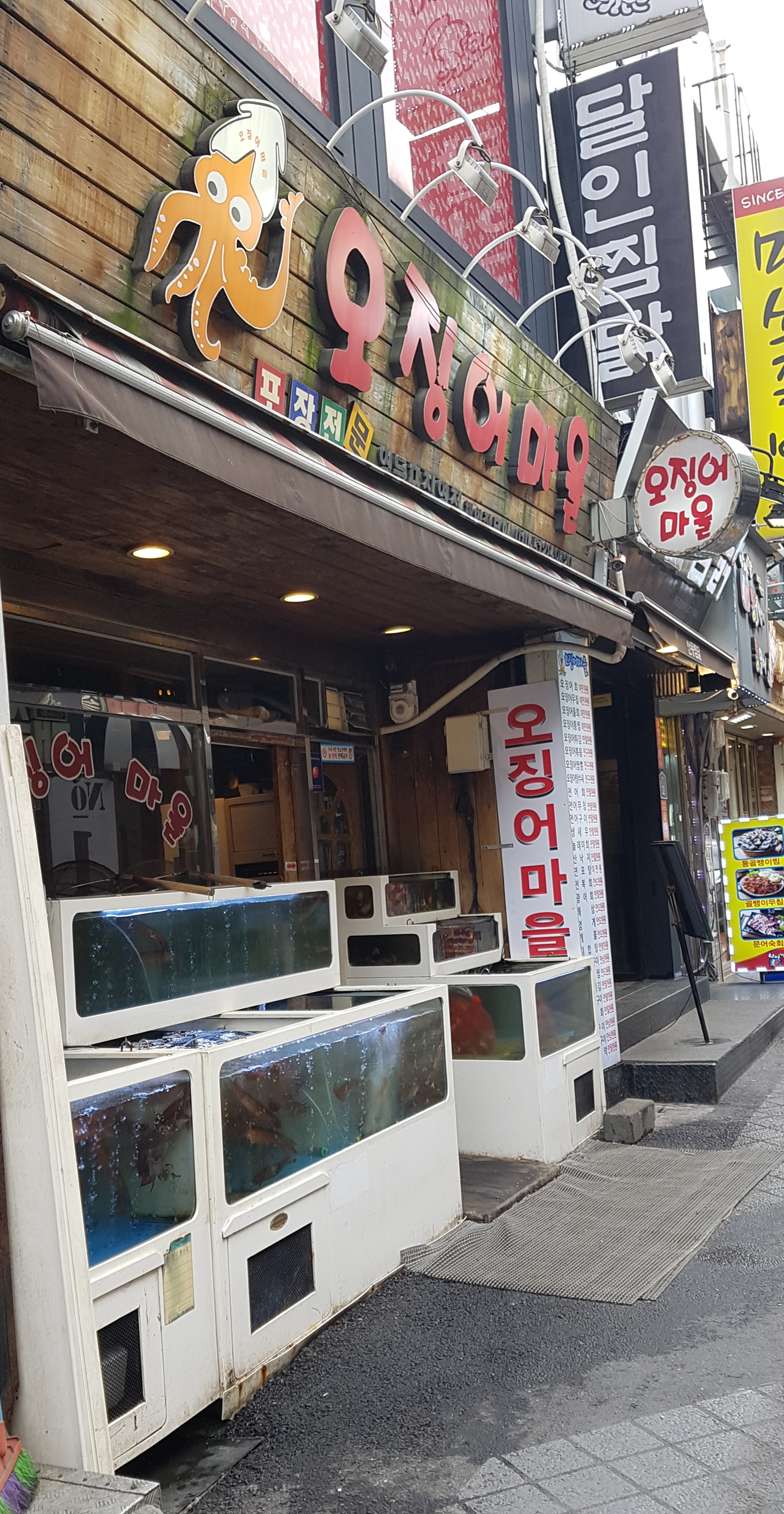 오징어마을 영등포직영점 사진 2