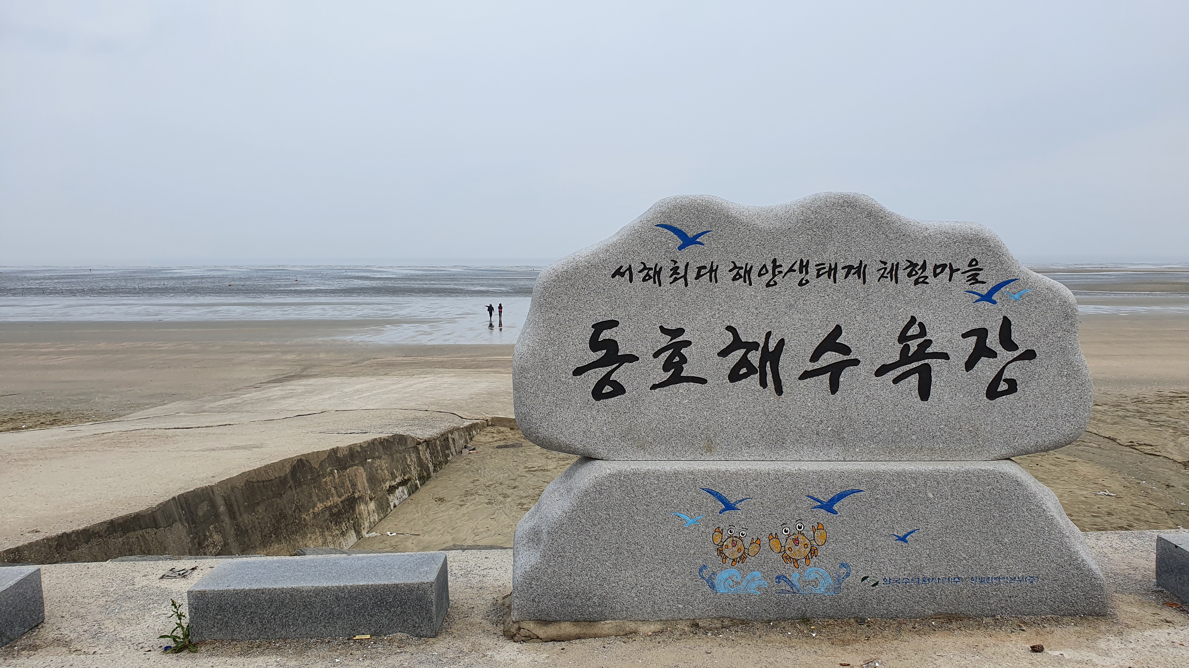 동호해수욕장 사진