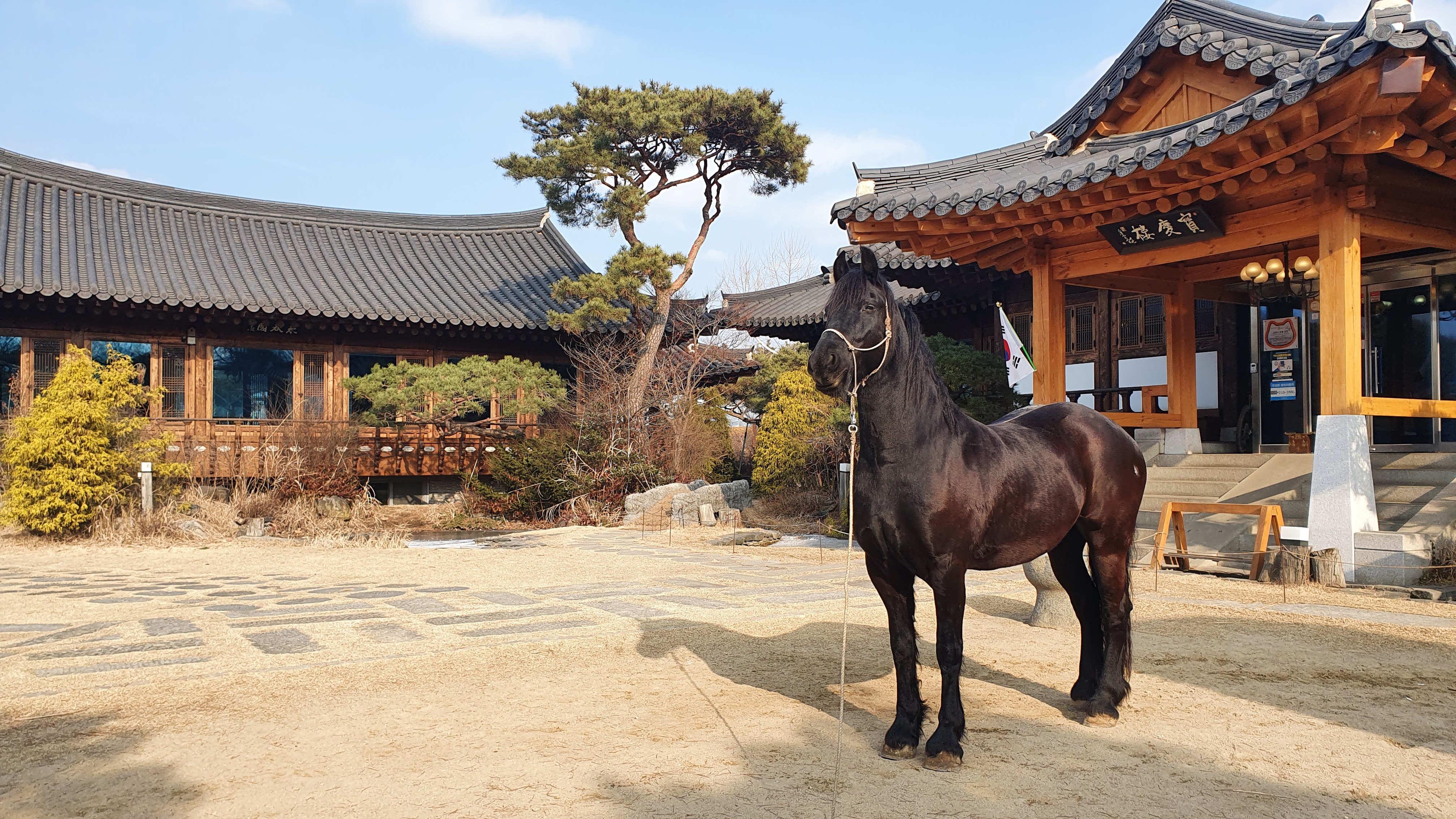너른마당 사진 1