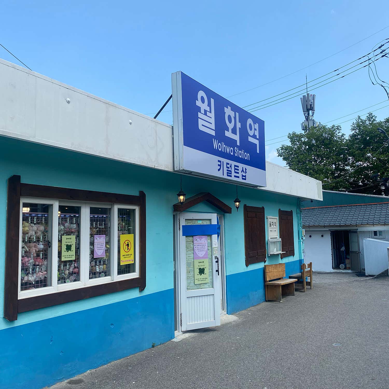 강릉 수제 어묵고로케 사진 4