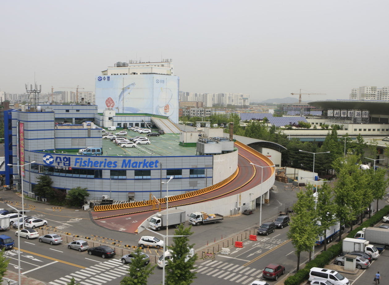 수협강서수산물도매시장 사진 3