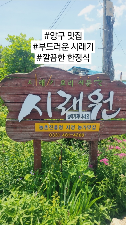 시래원 사진 2