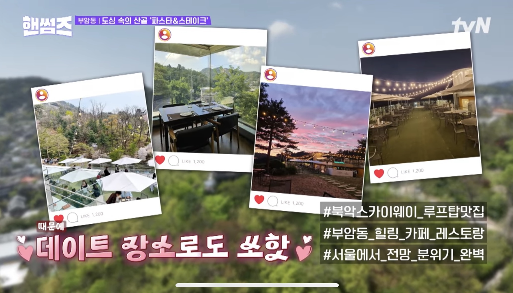 아델라베일리 사진 3