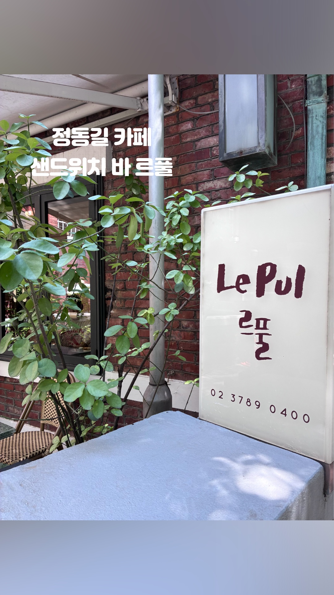 르풀 사진 2