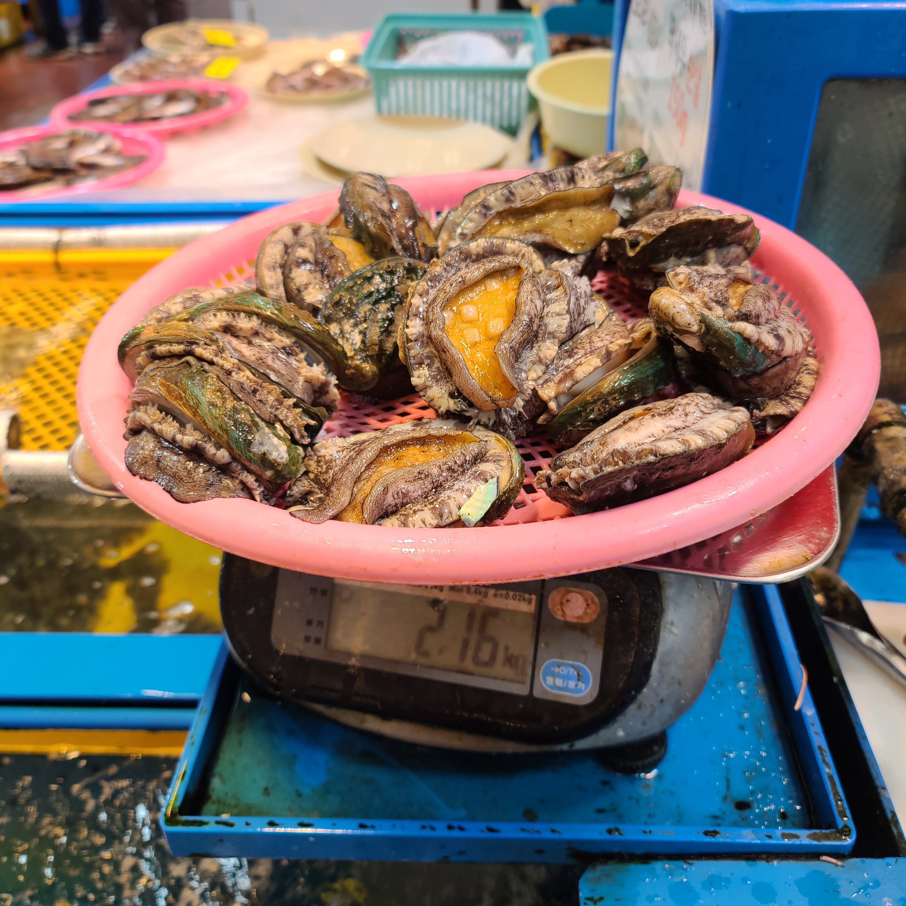 태양수산 사진 5