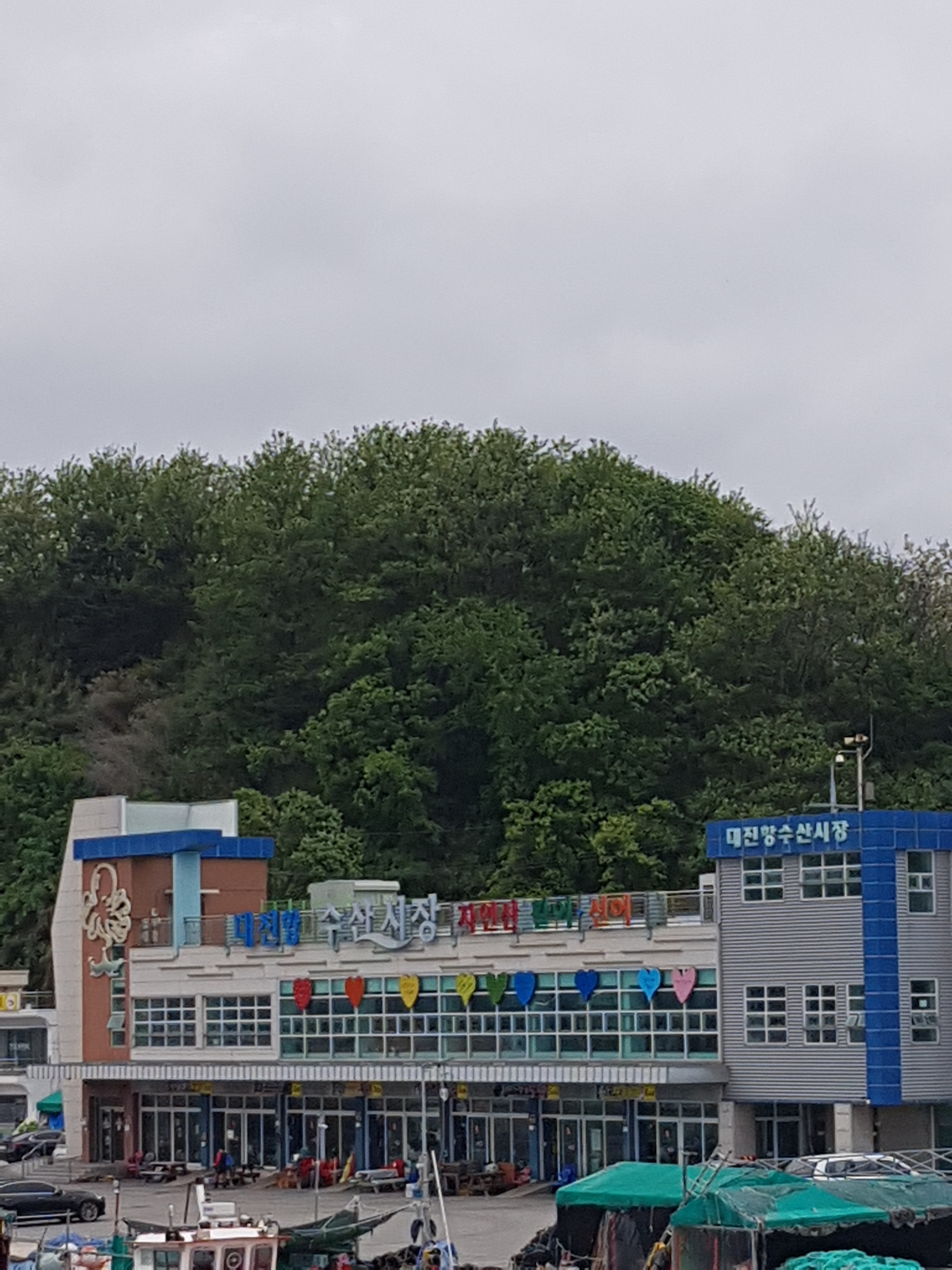대진항수산시장 사진 1