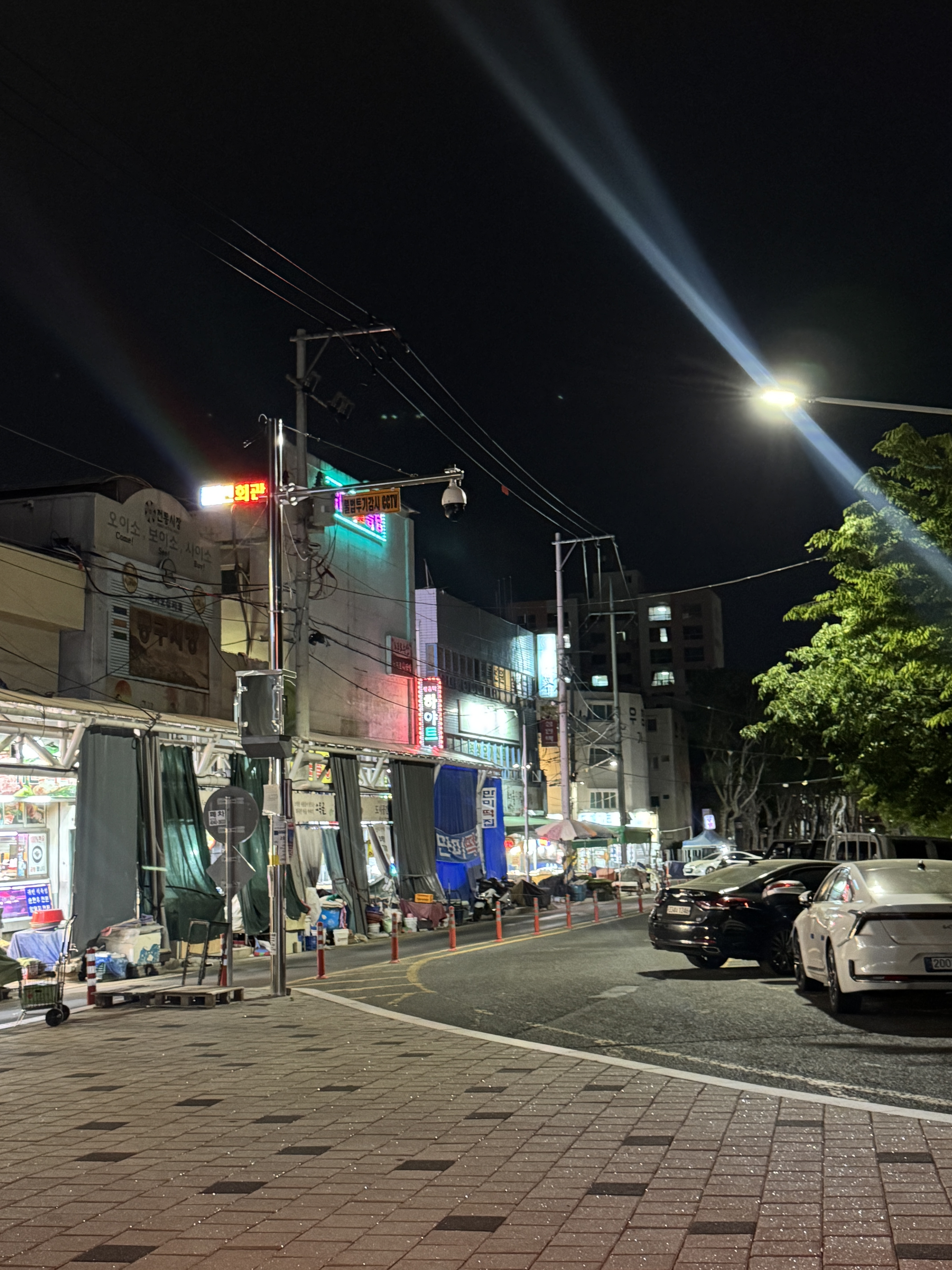 참치열전 사진 5