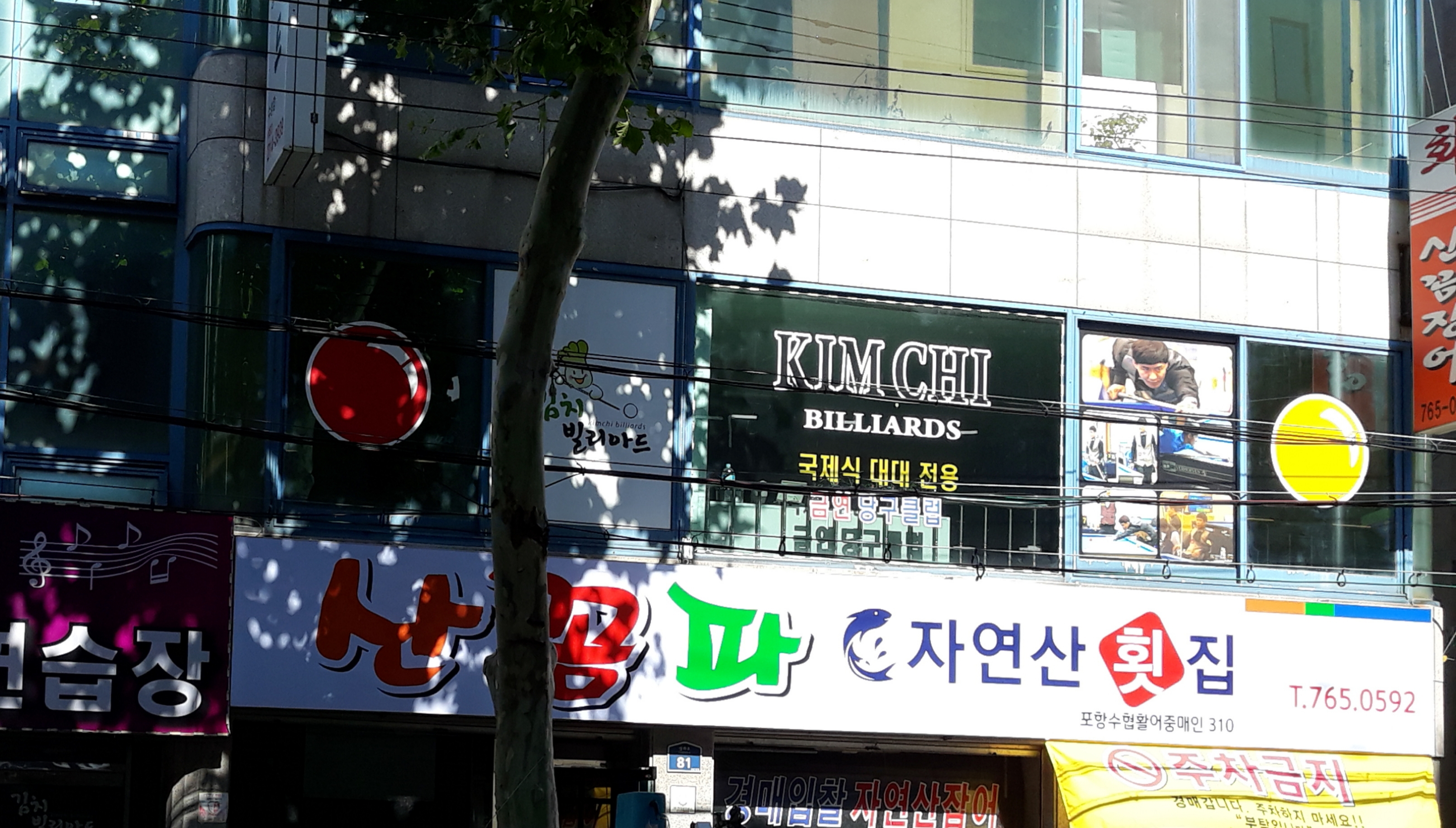 산꼼파 사진 1