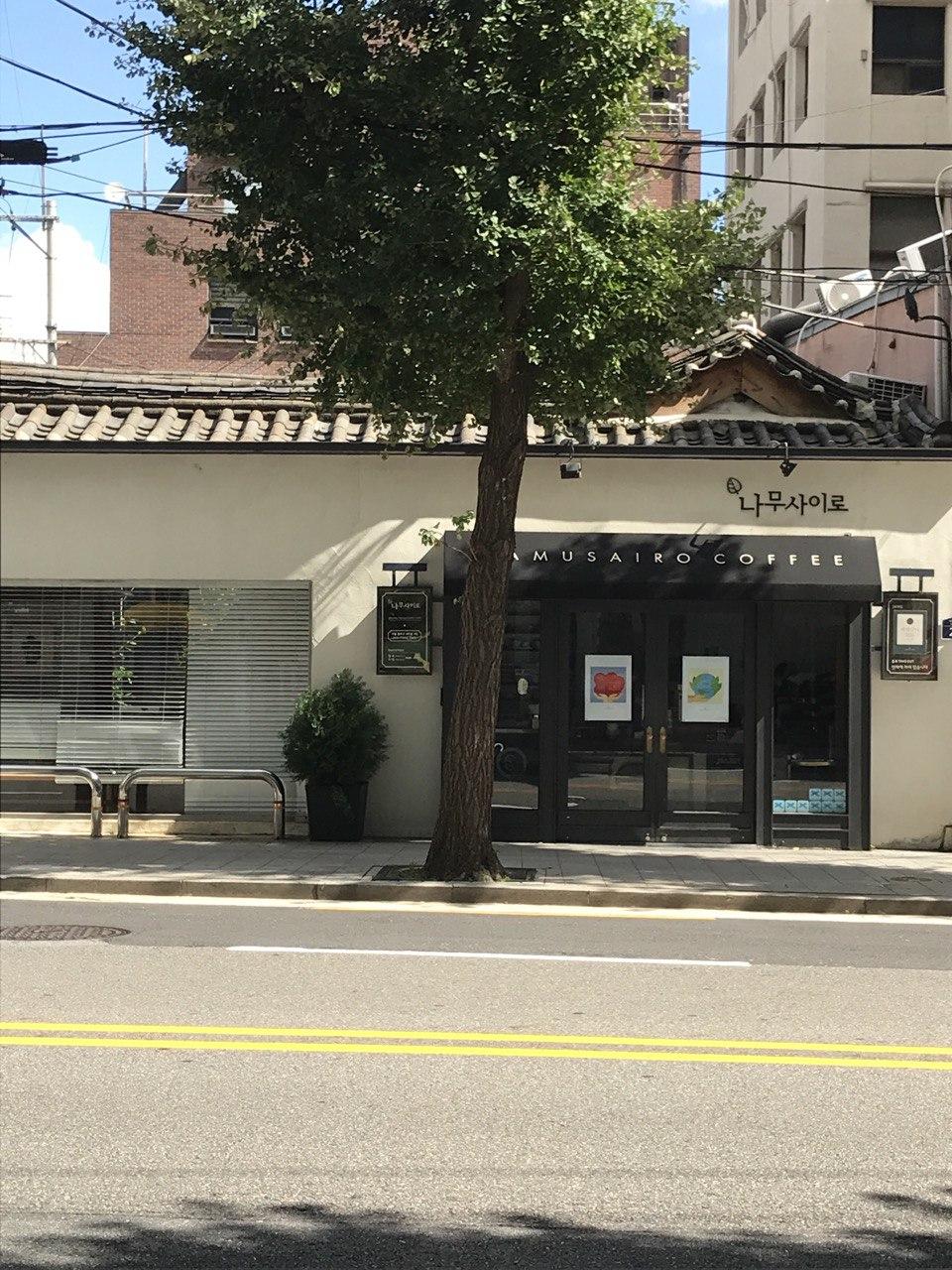 나무사이로 내자 사진