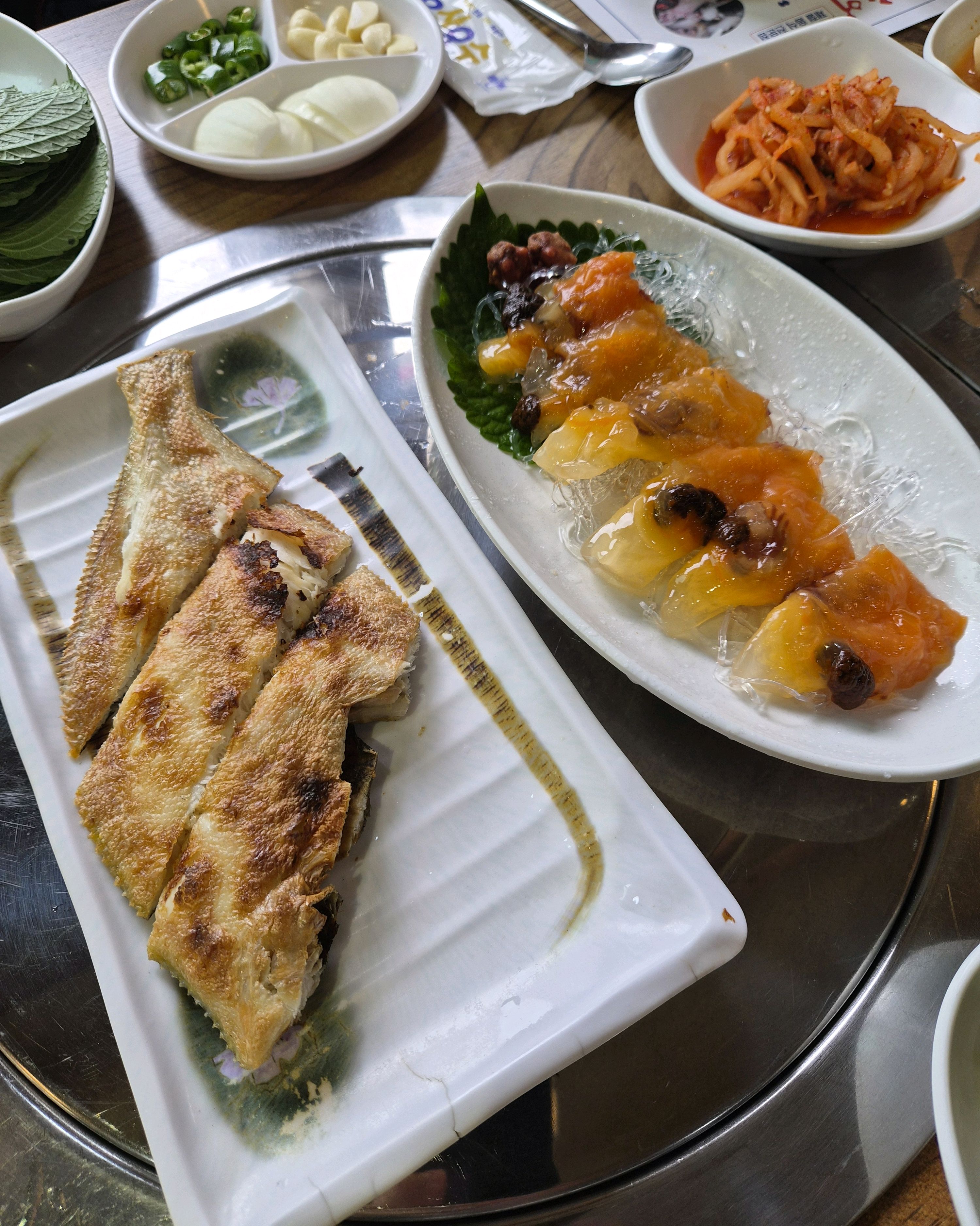 참장어 사진 1