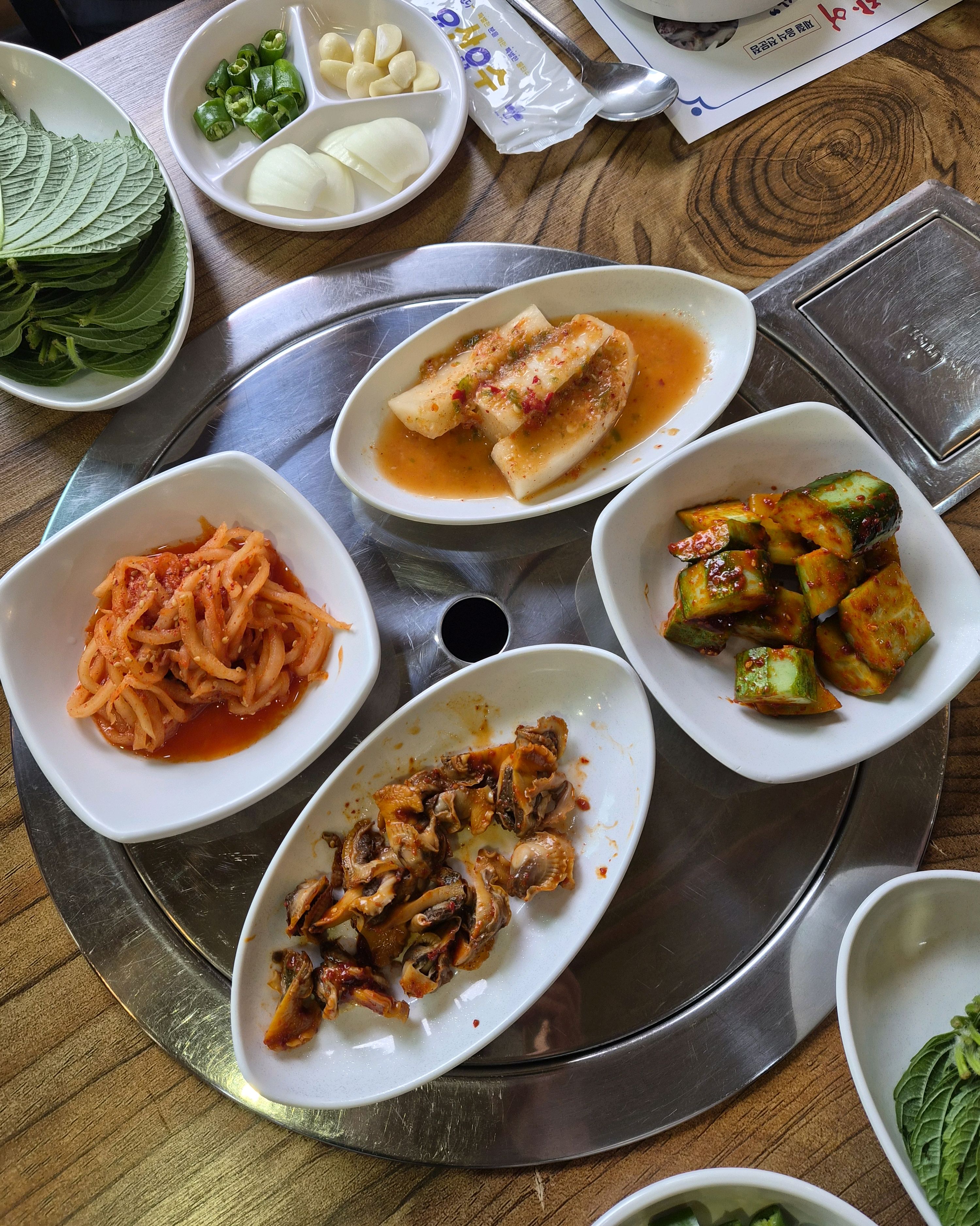 참장어 사진 3