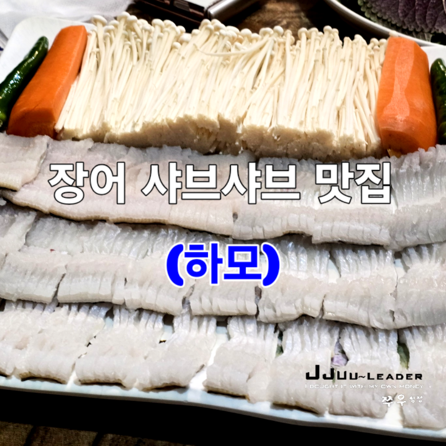 참장어 사진 5