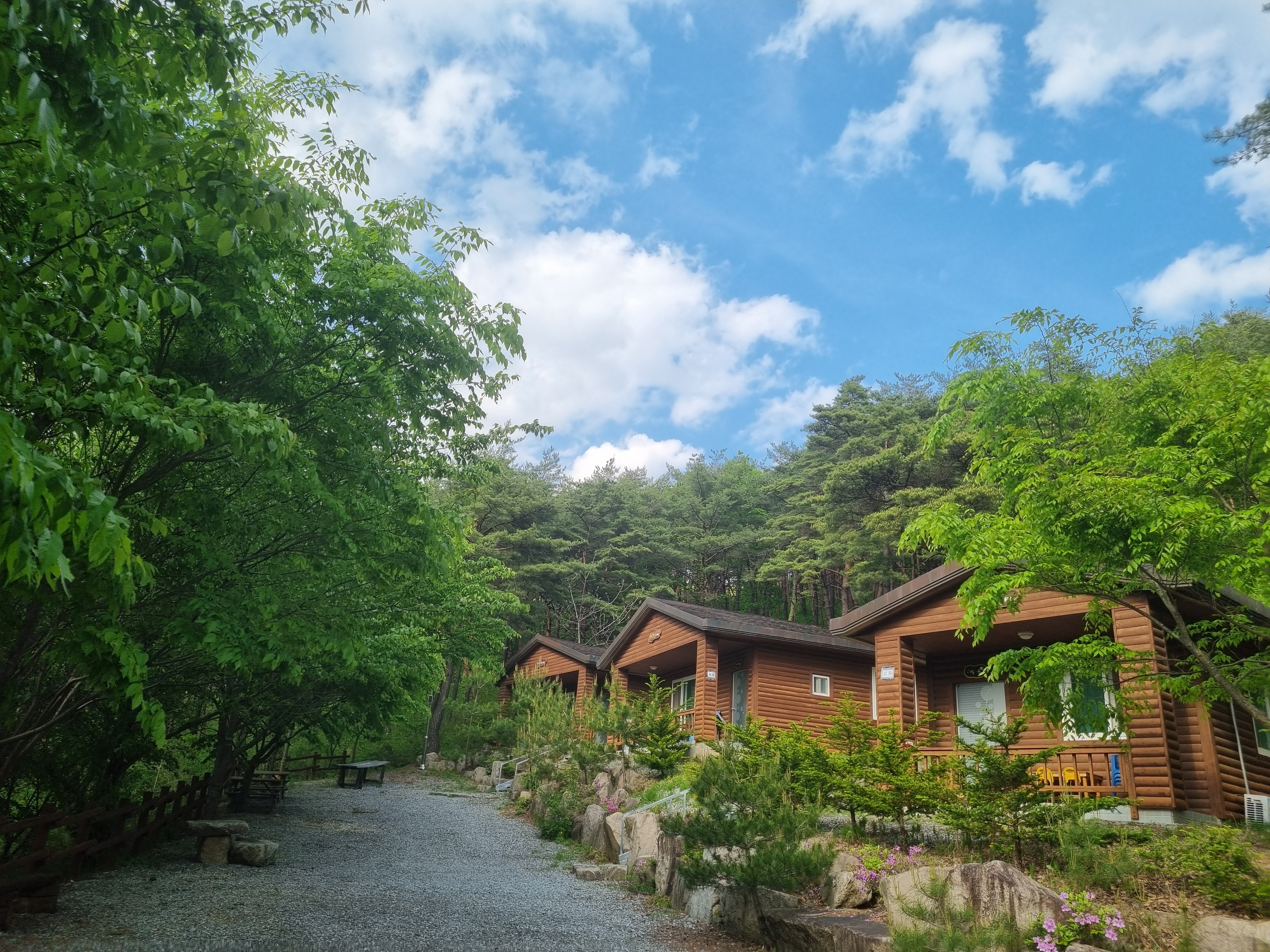 주산지산촌생태마을펜션 사진