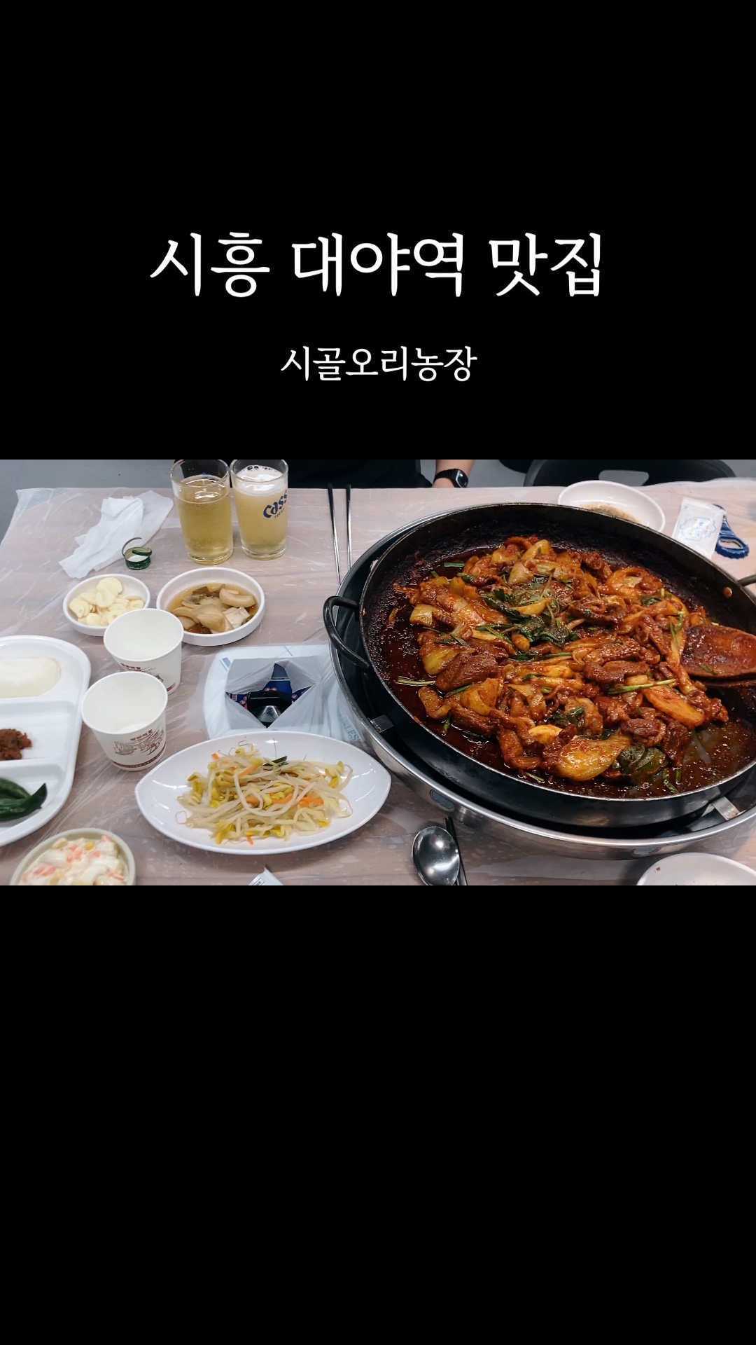 시골오리농장 사진 2
