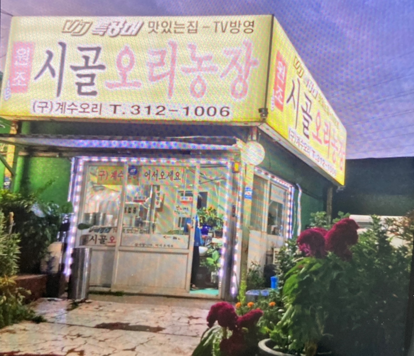 시골오리농장 사진 3