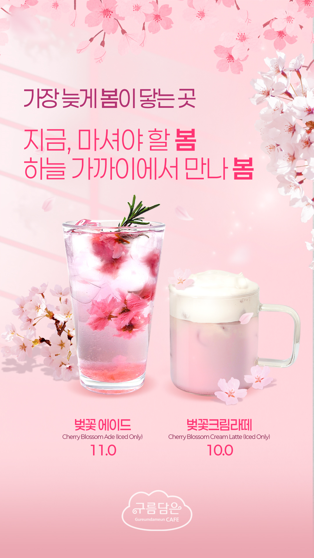 하이원리조트 구름담은 카페 사진 1