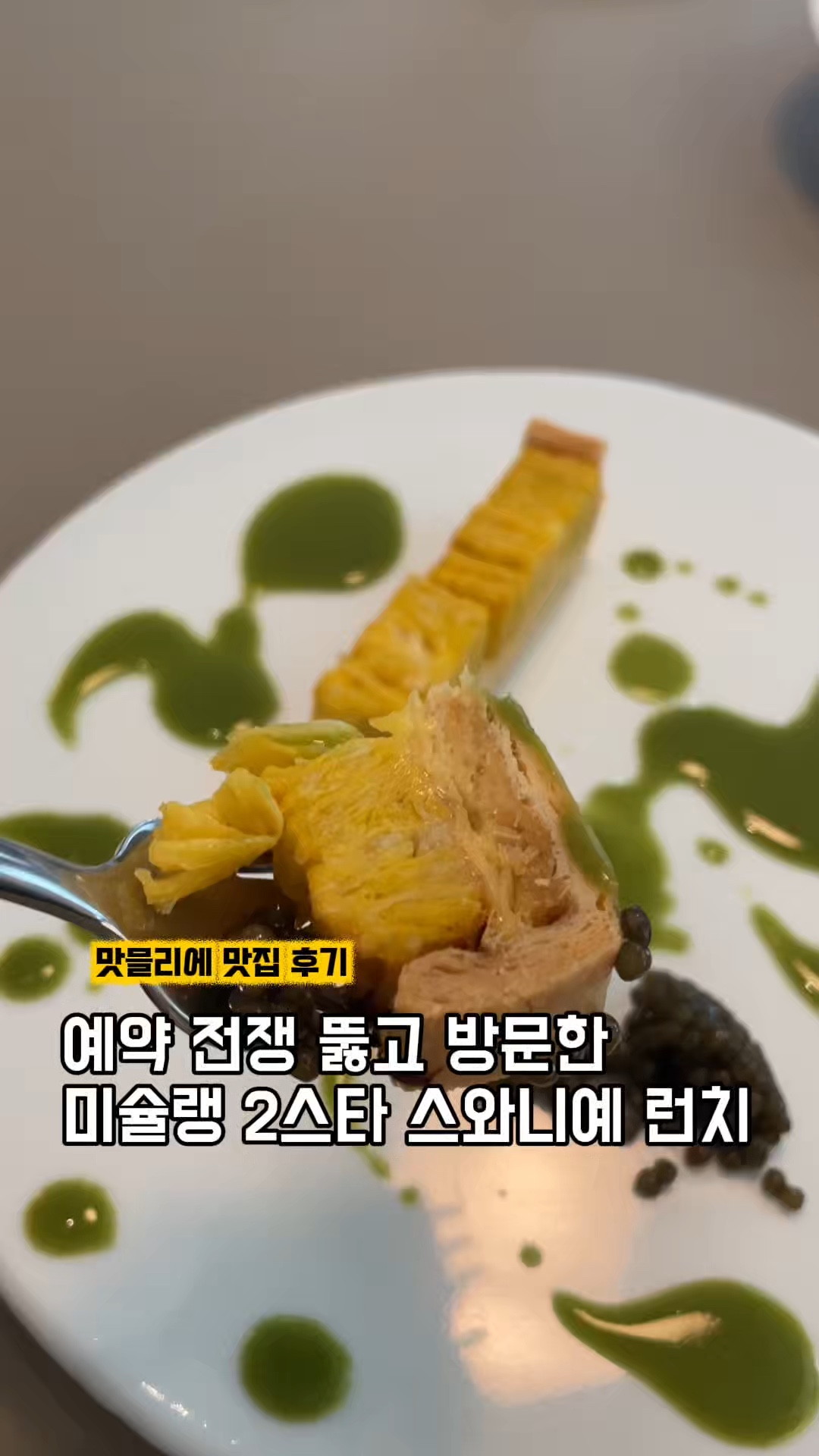 스와니예 사진 2