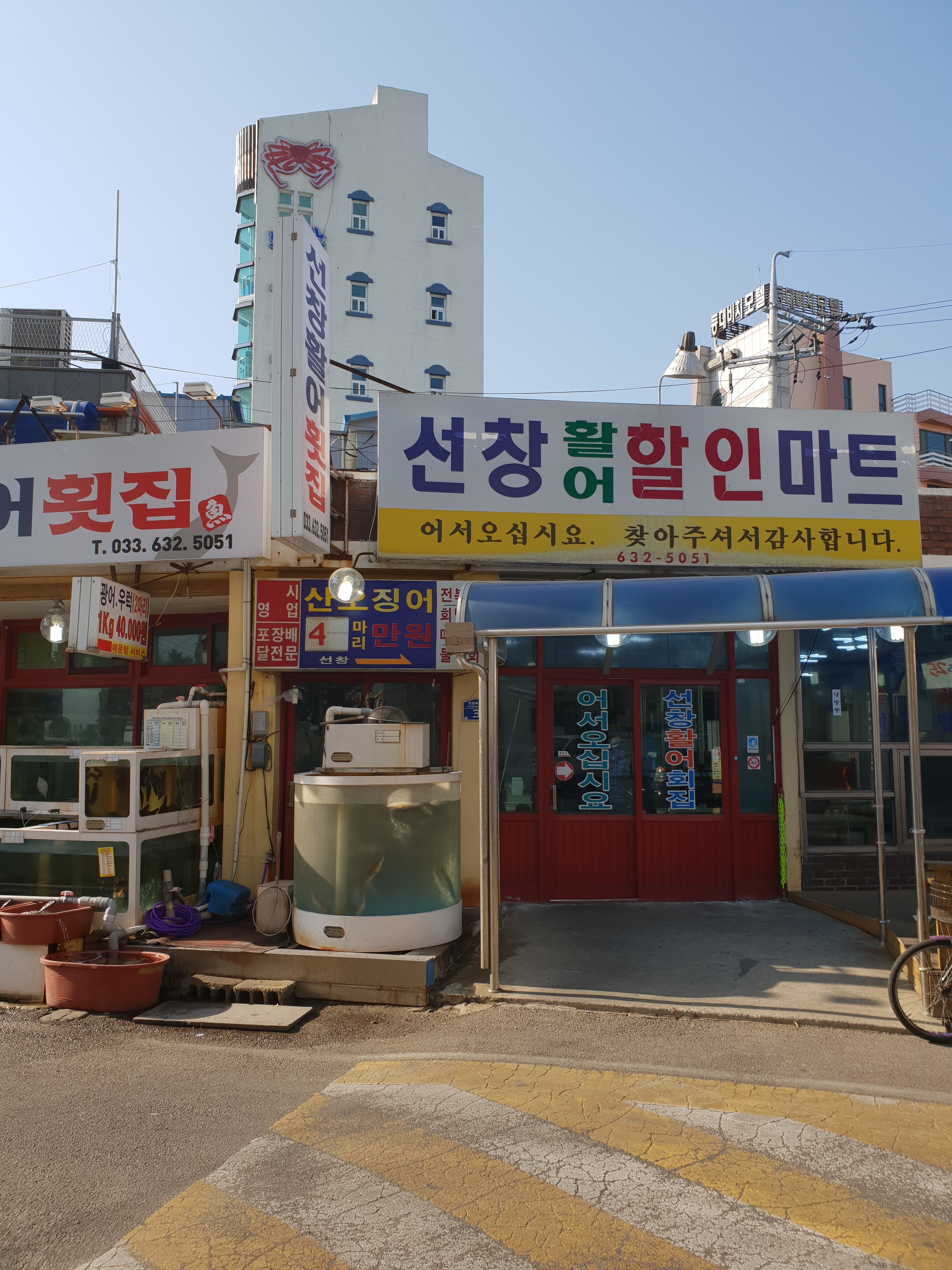 선창활어횟집 사진 1