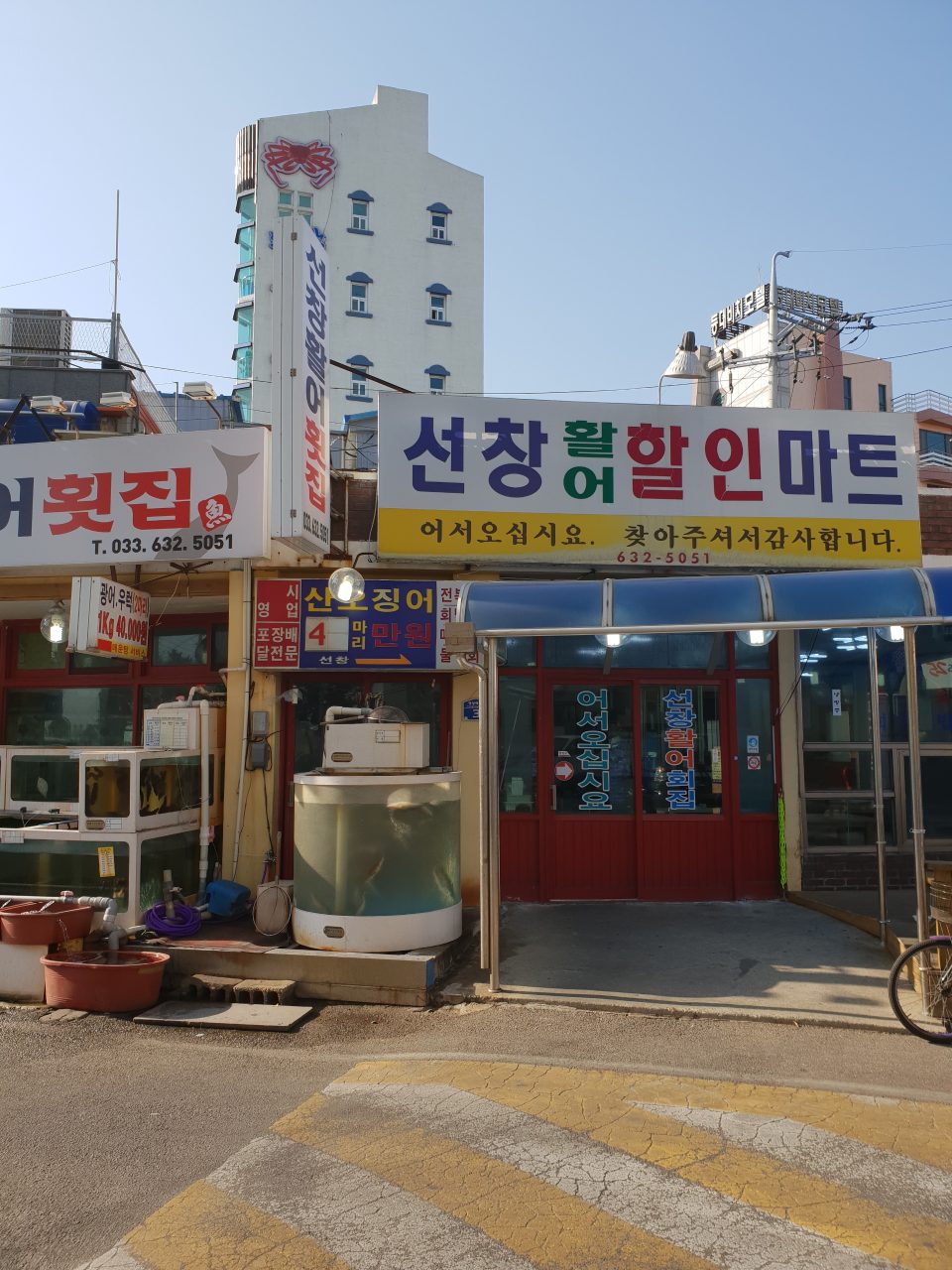 선창활어횟집 사진