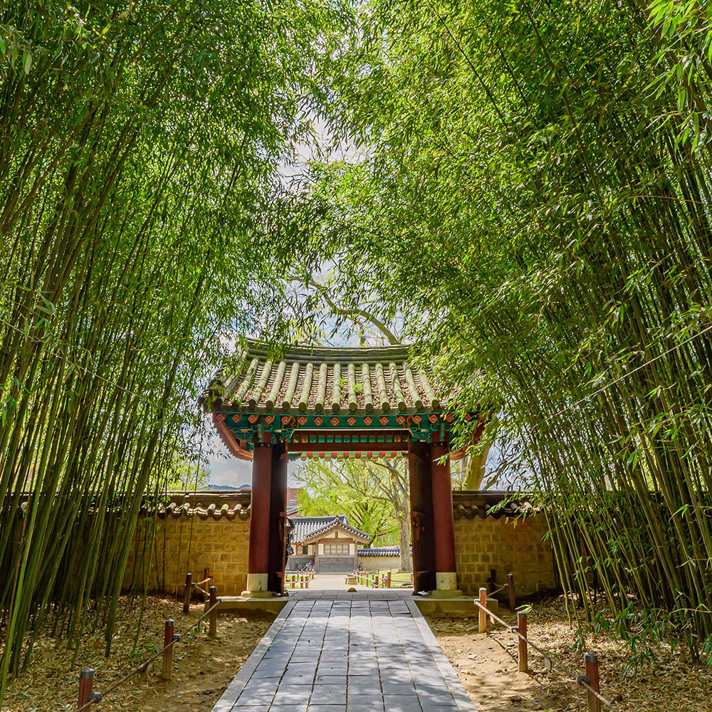 전주경기전 사진 5