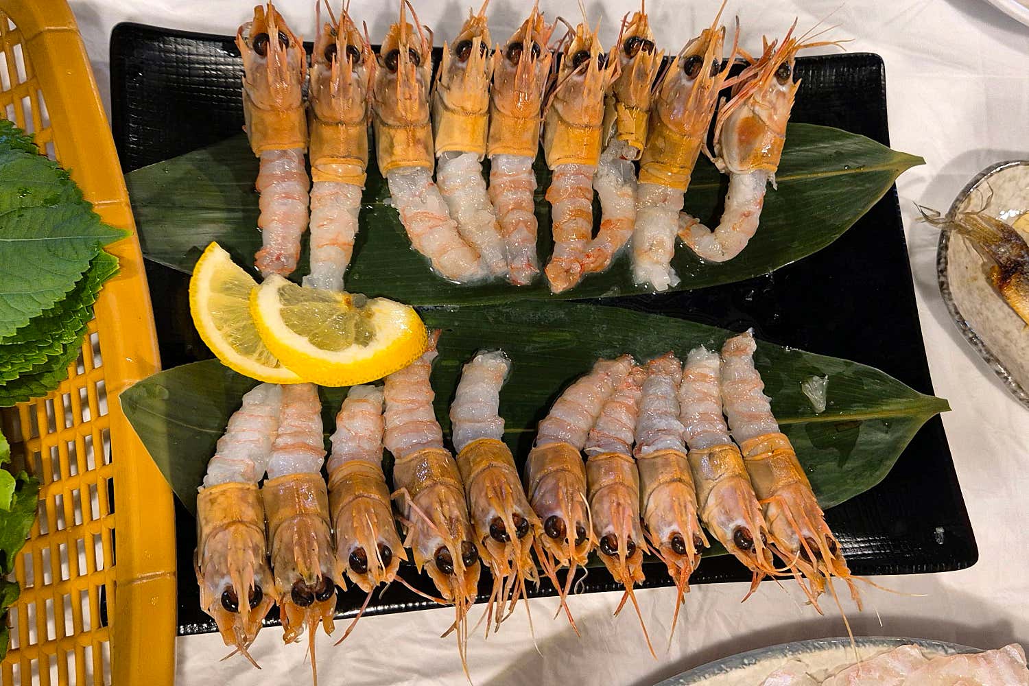 성산포 자연산 회센타 사진 5
