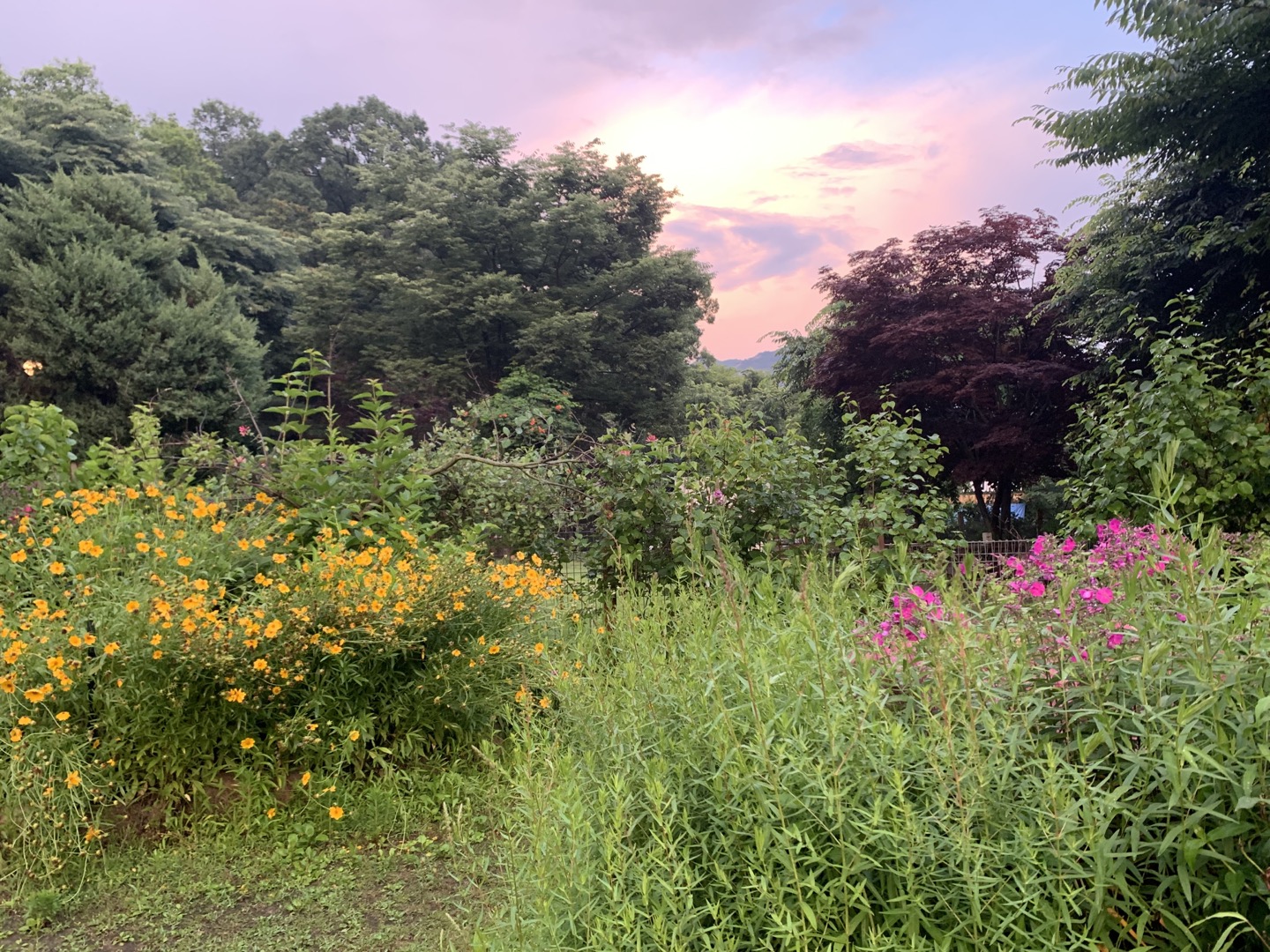 헤세의 정원 HESSE GARDEN 사진 1