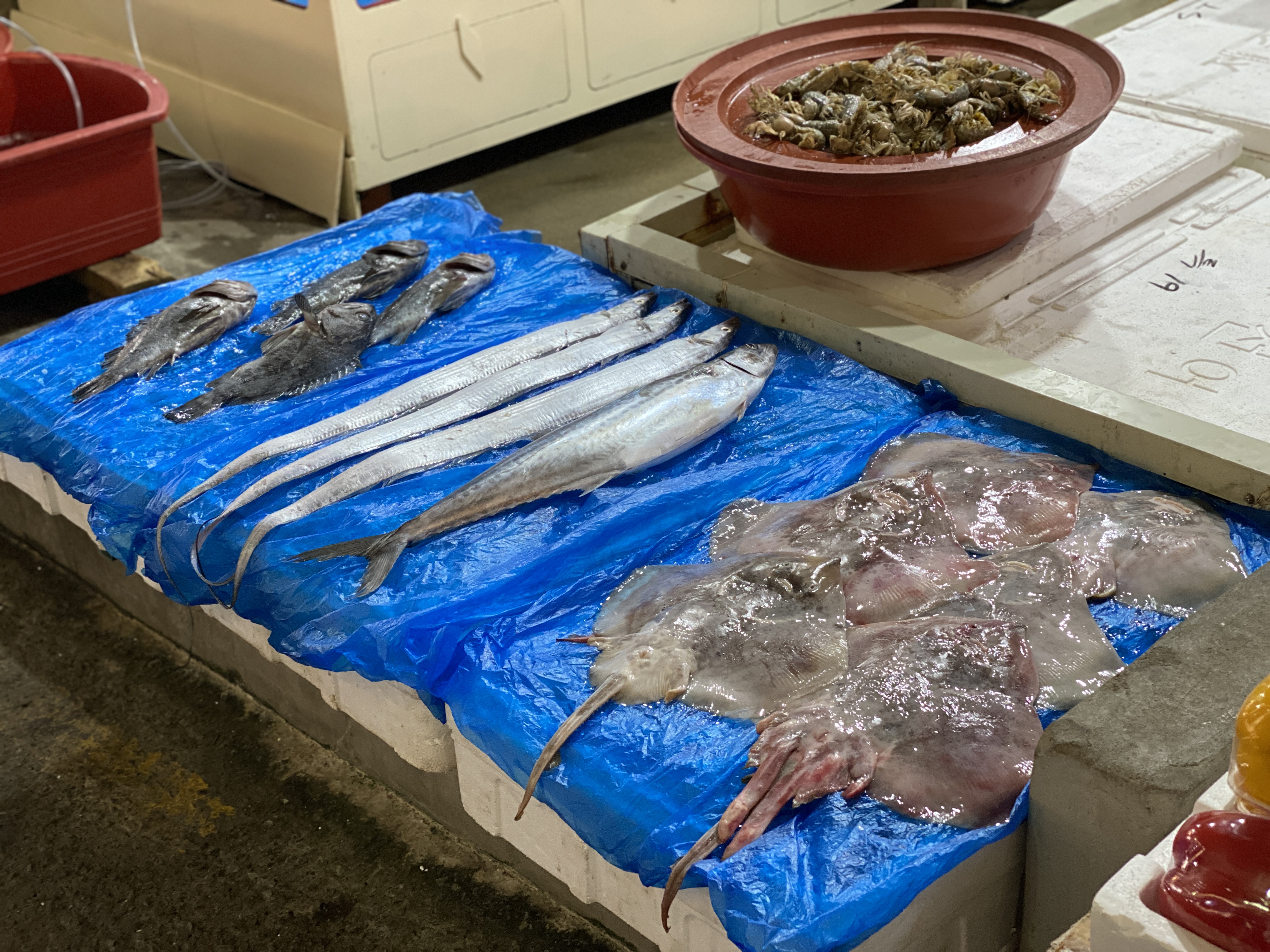 태안서부시장 사진 3