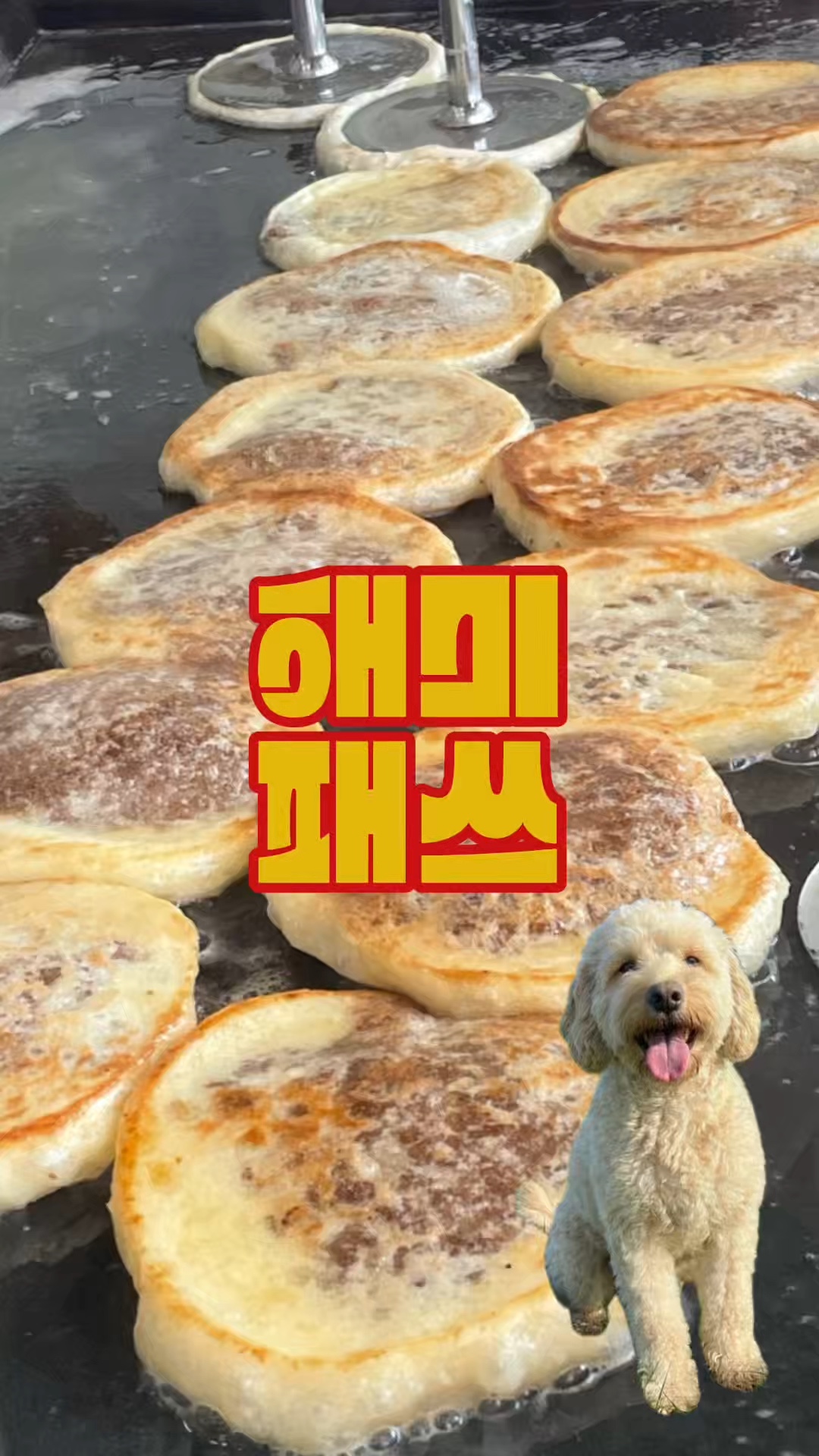 해미우시장 사진 2