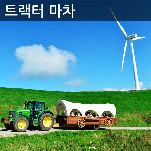 대관령 하늘목장 사진 2