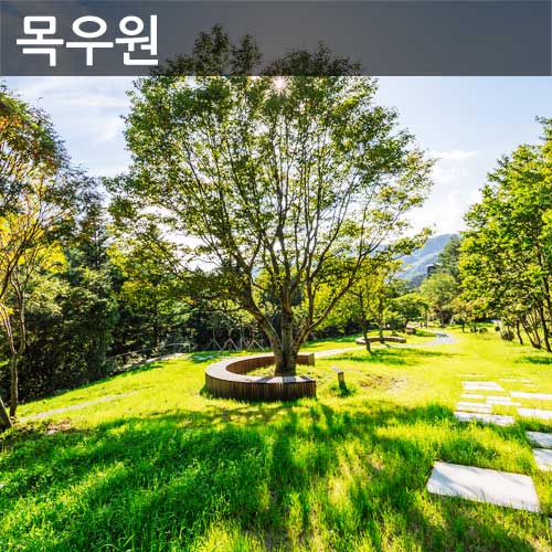 대관령 하늘목장 사진 3