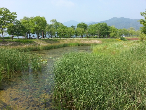 다산생태공원 사진 1