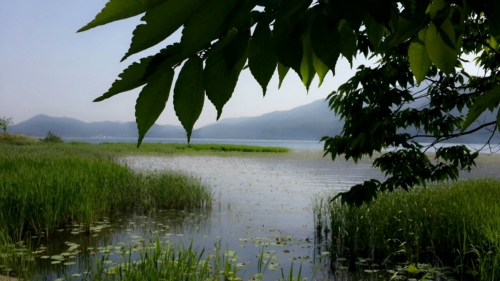다산생태공원 사진 2