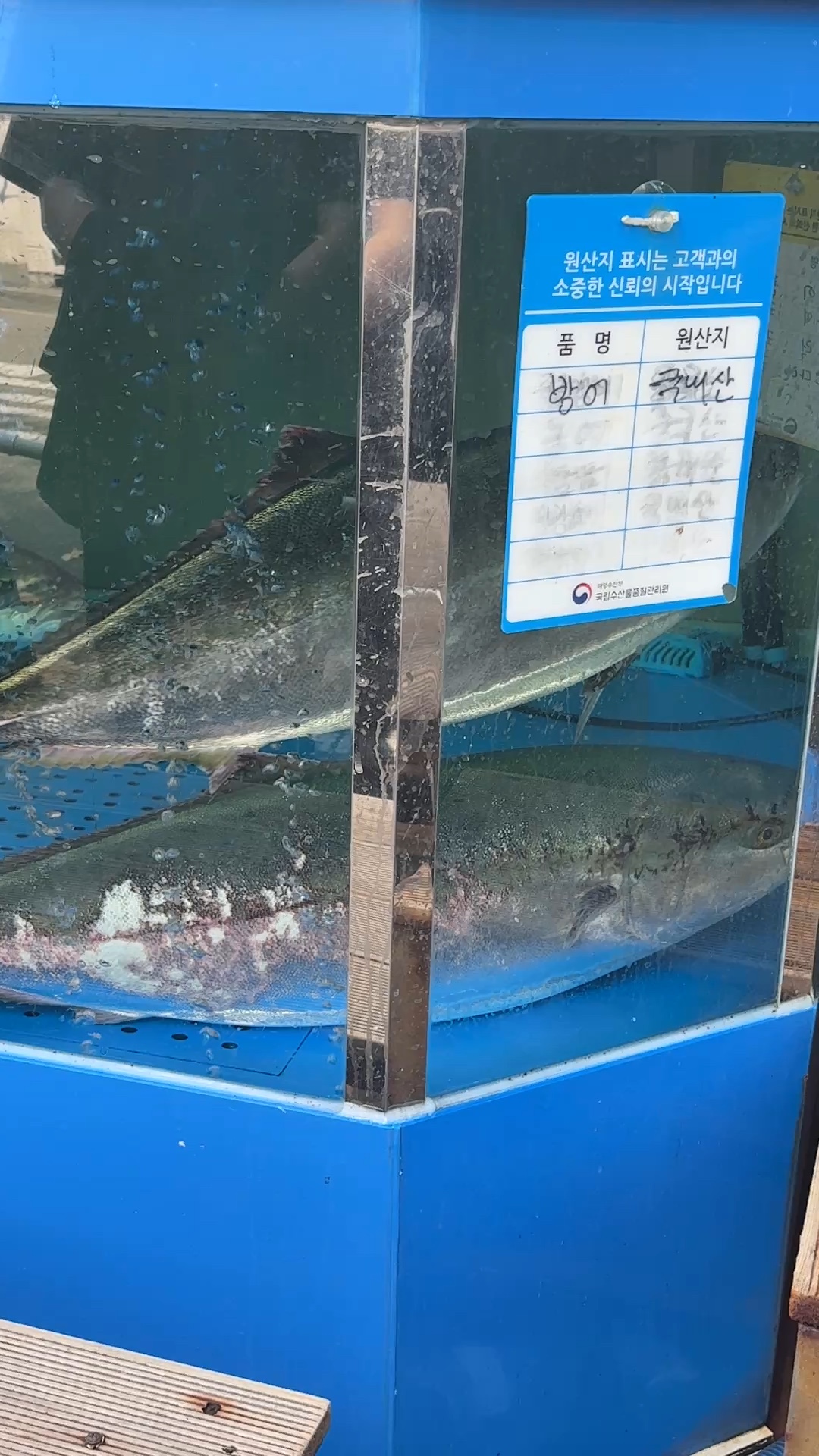 바다회사랑 서교점 사진 2