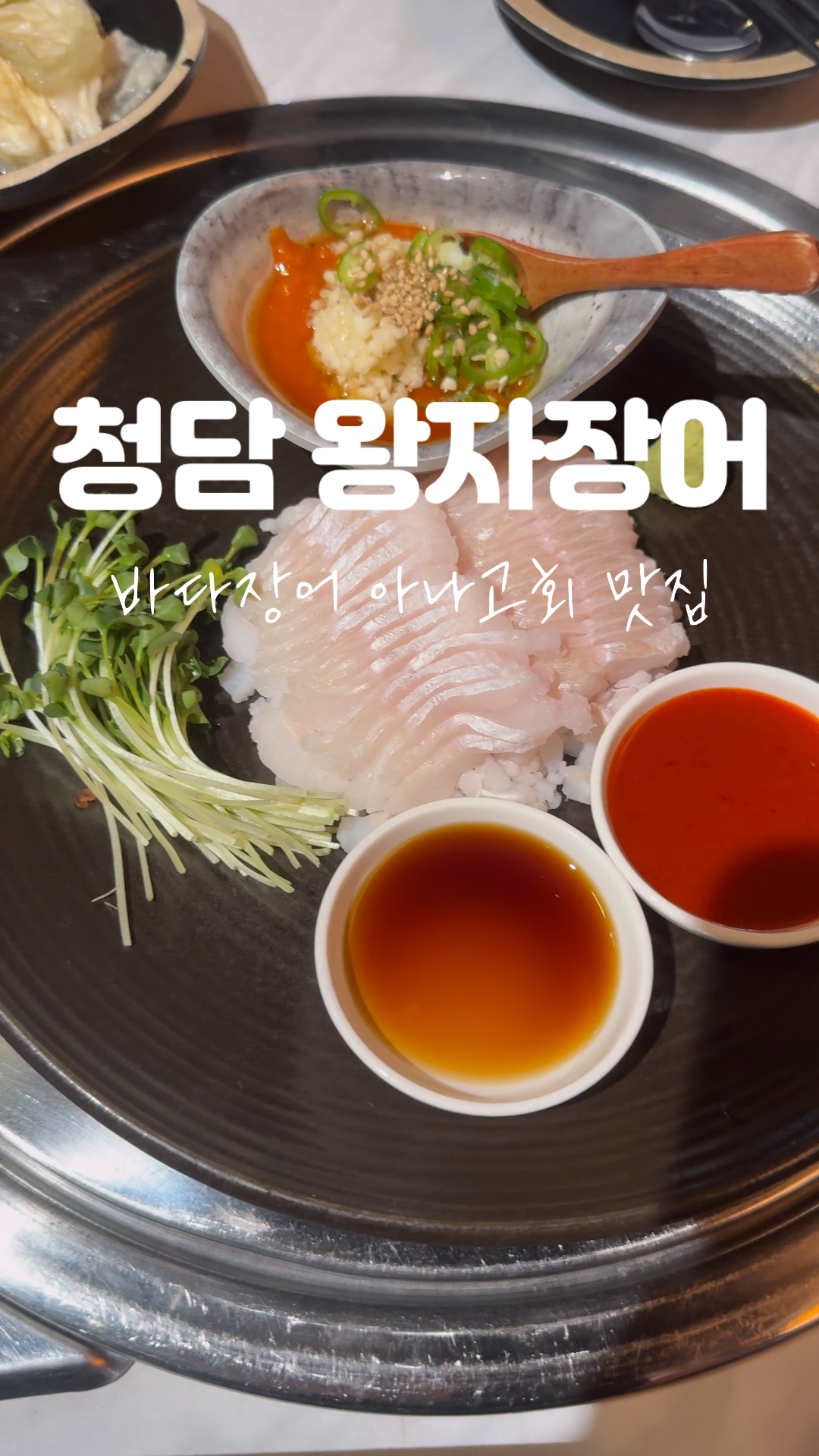 왕자장어 사진 2