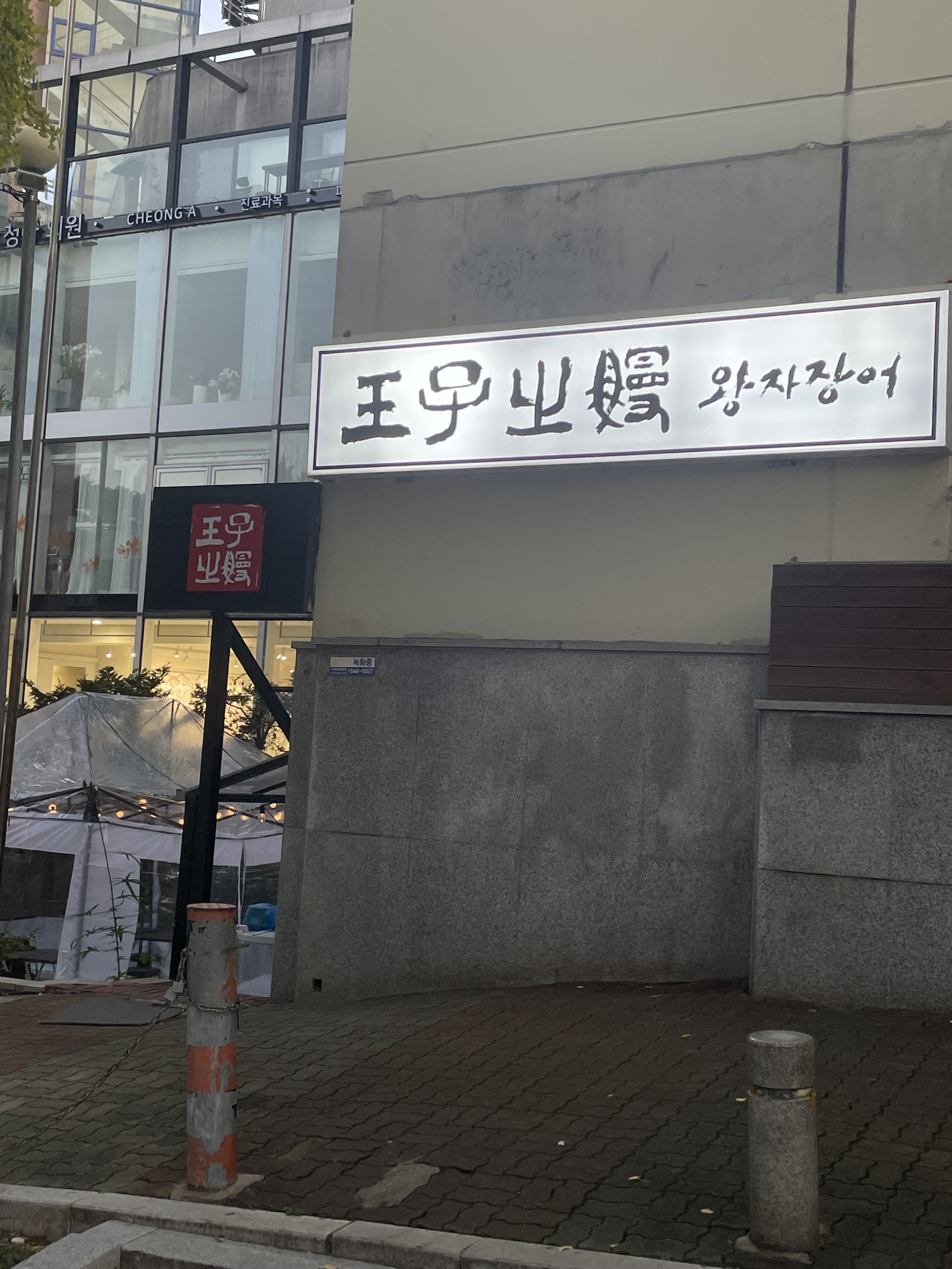 왕자장어 사진 3