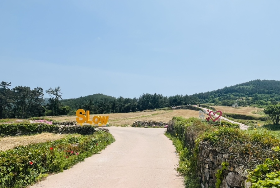청산도 사진 5