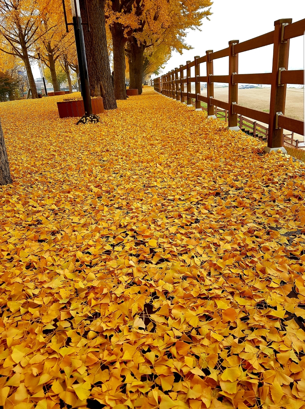 산수갑산 사진 3