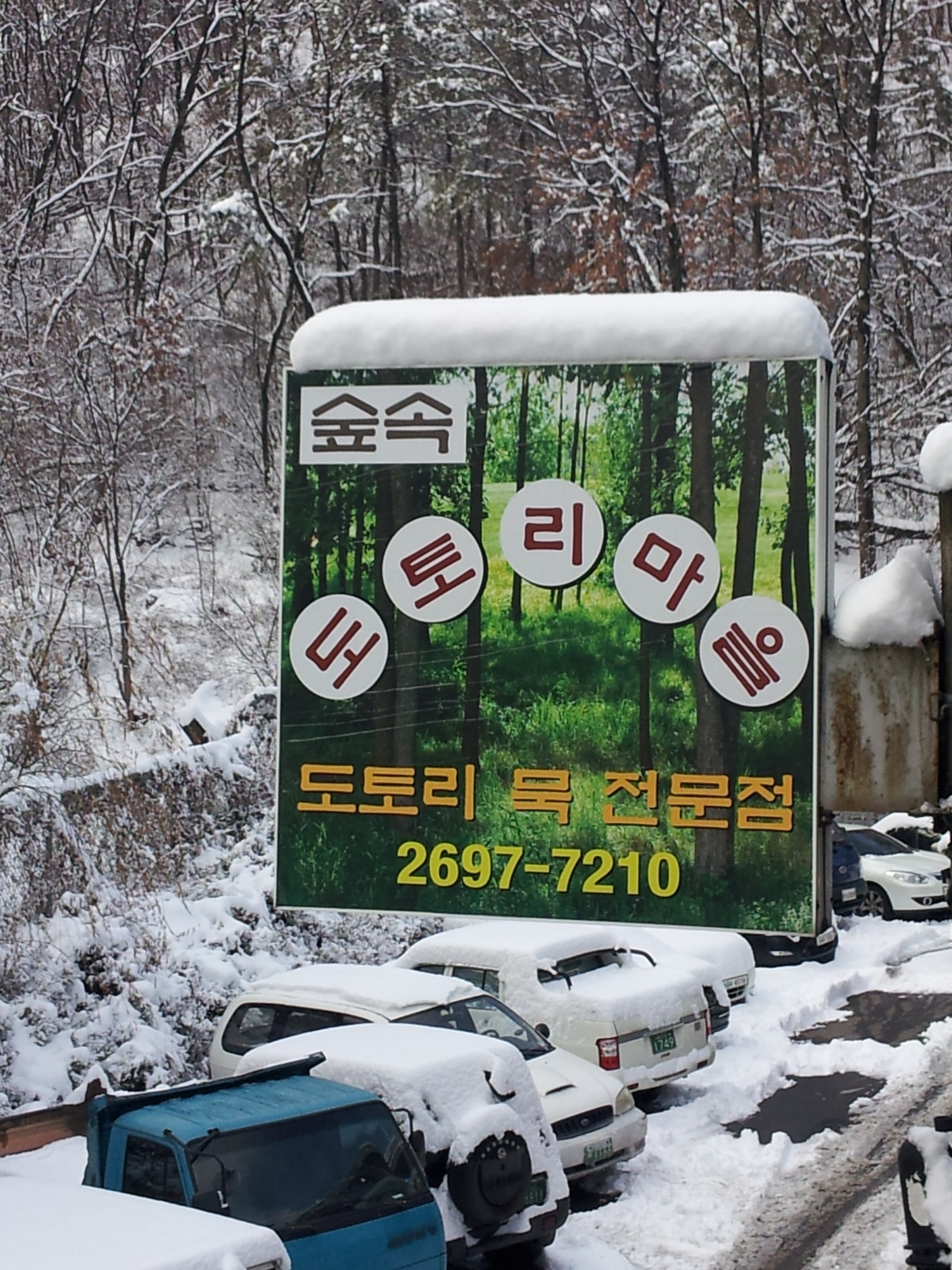 숲속도토리마을 사진 3