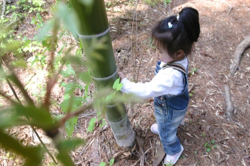 아홉산숲 사진 4