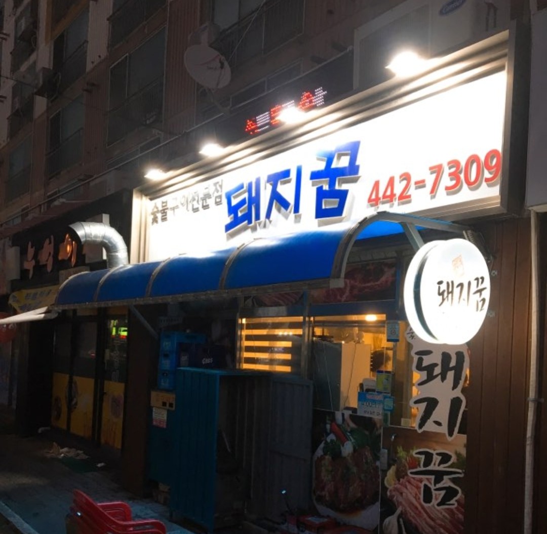 돼지꿈 사진 3