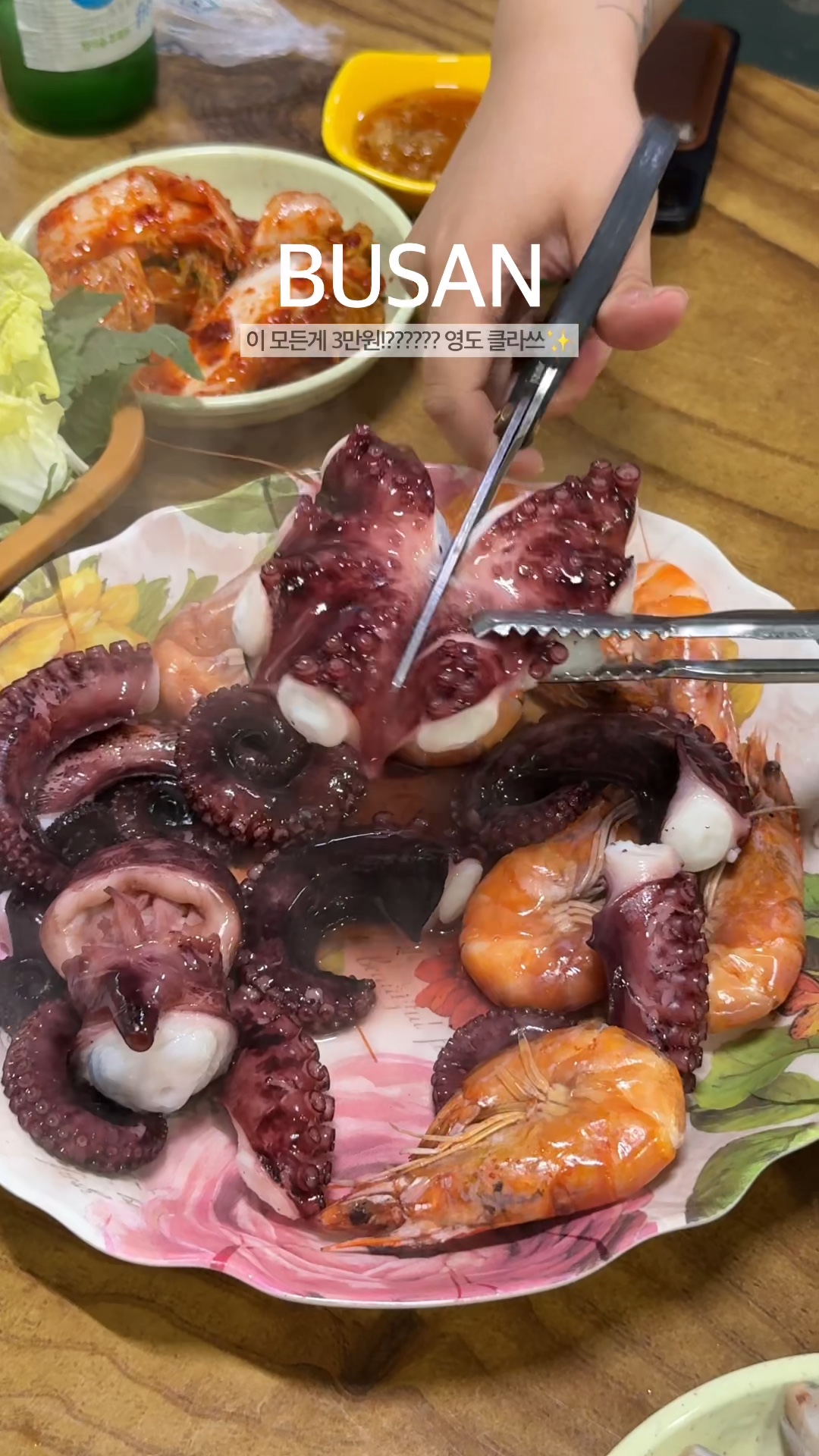 멍텅구리 사진 1