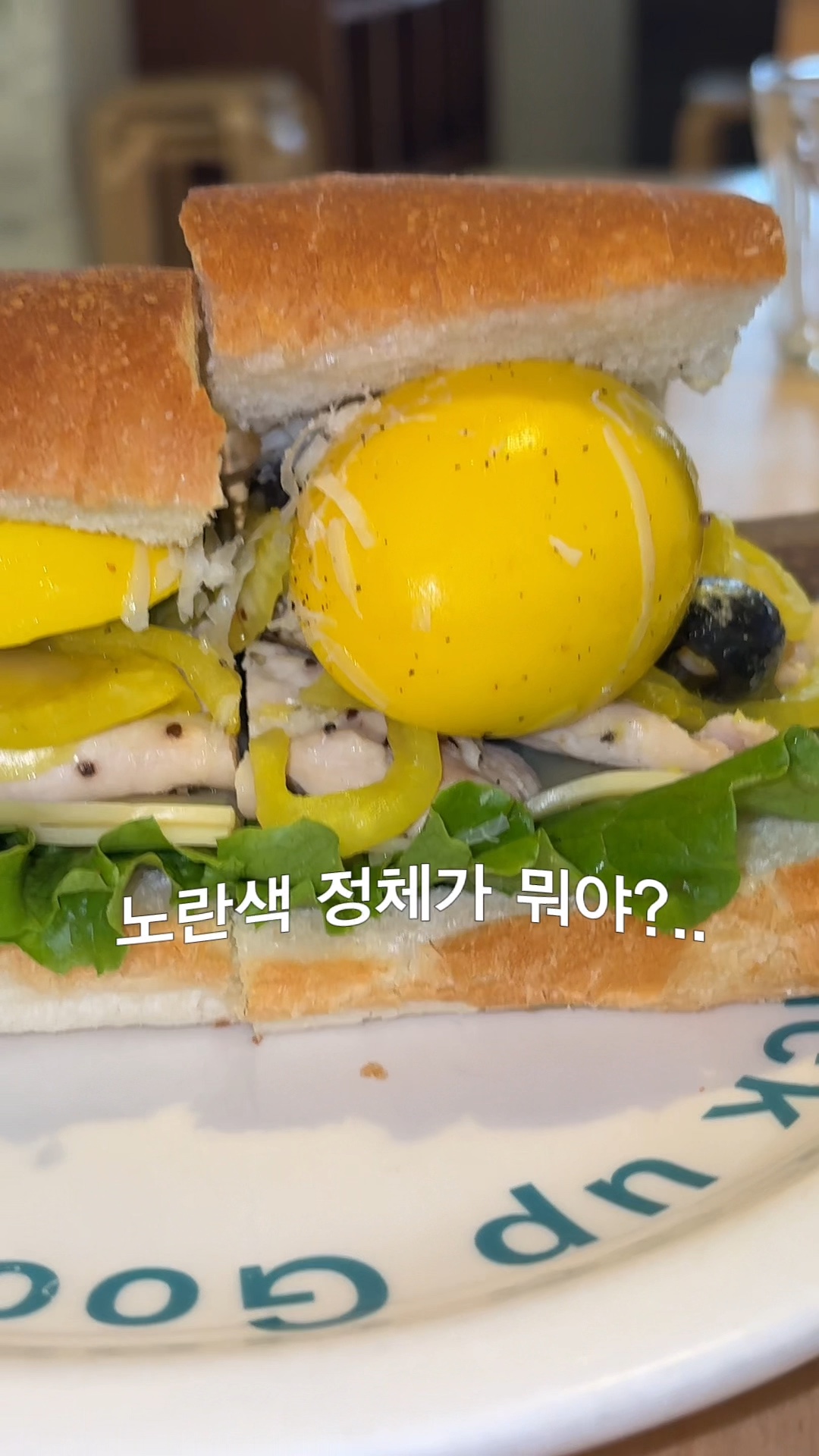 샐러드셀러 사진 2