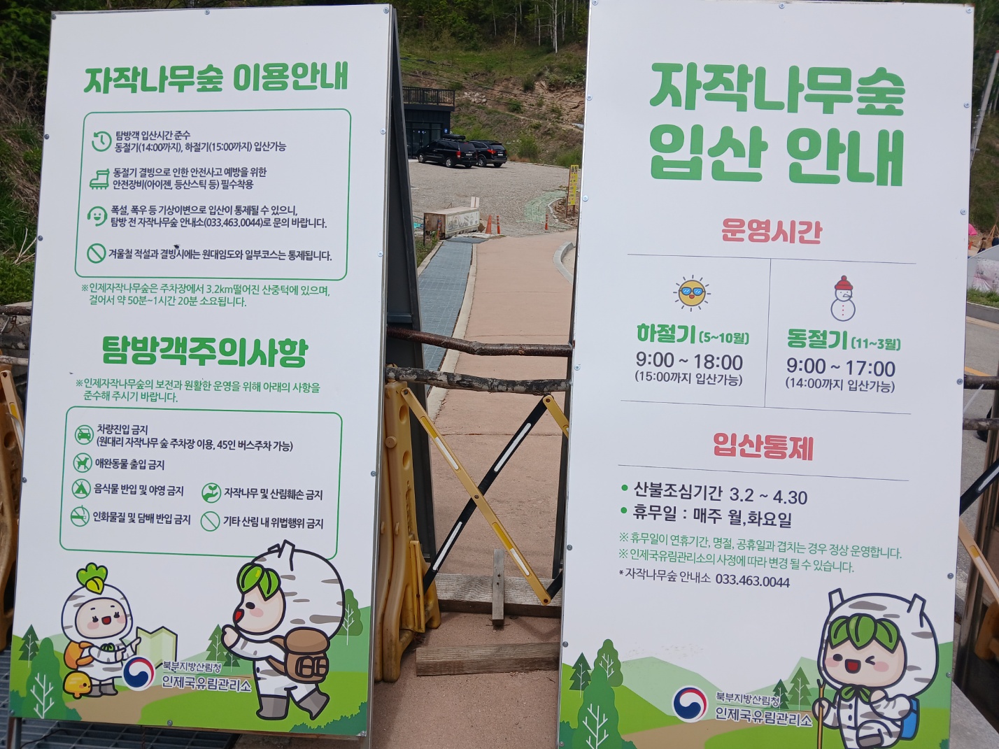 인제자작나무숲안내소 사진