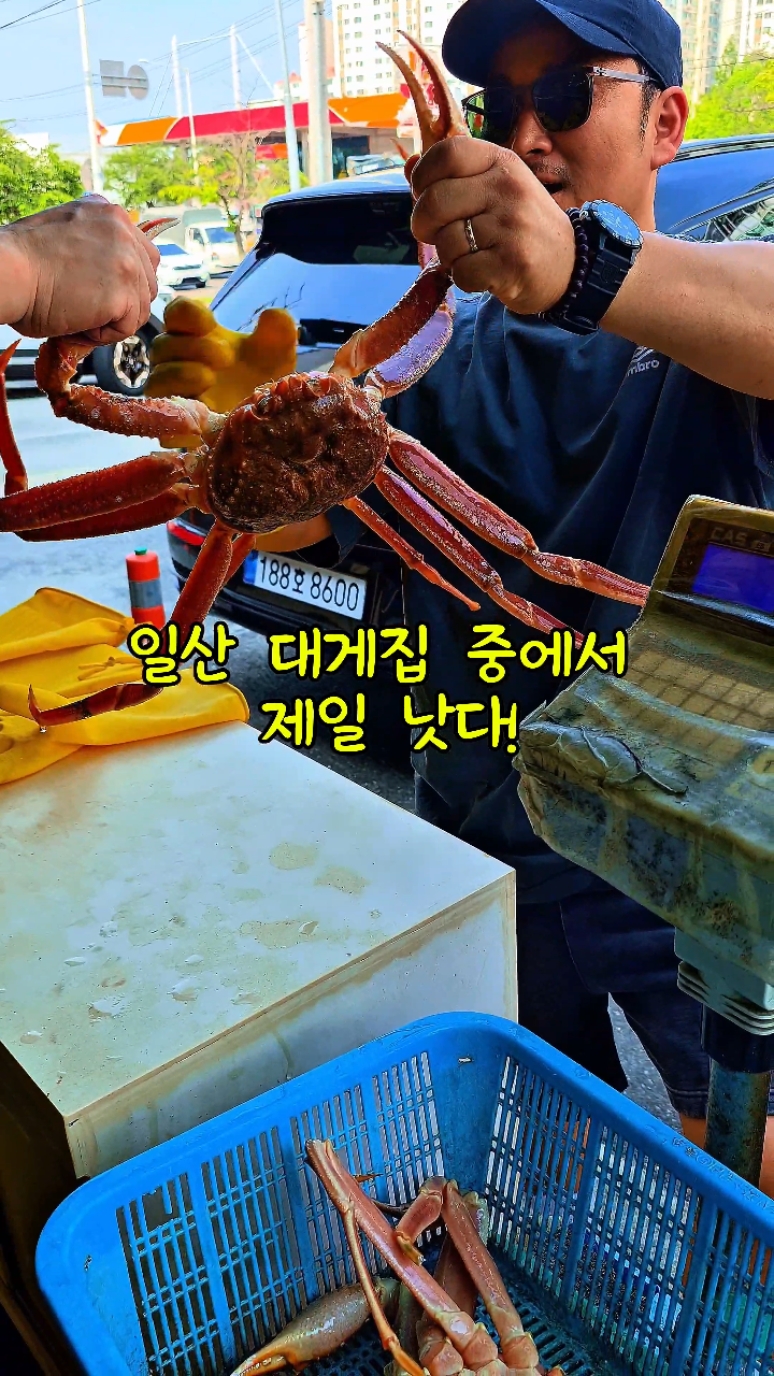 일산대게하우스 N 황제해물선 사진 2