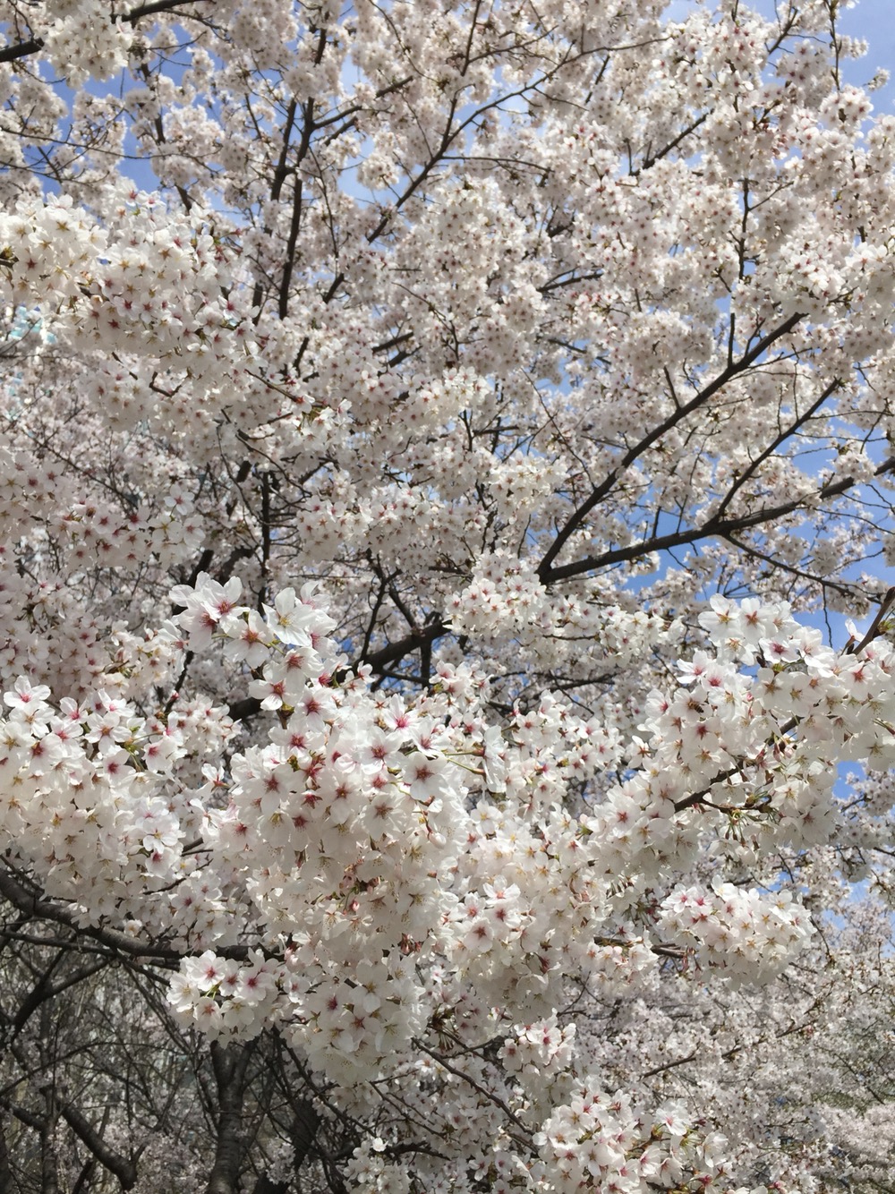 미리내힐빙클럽 사진 5